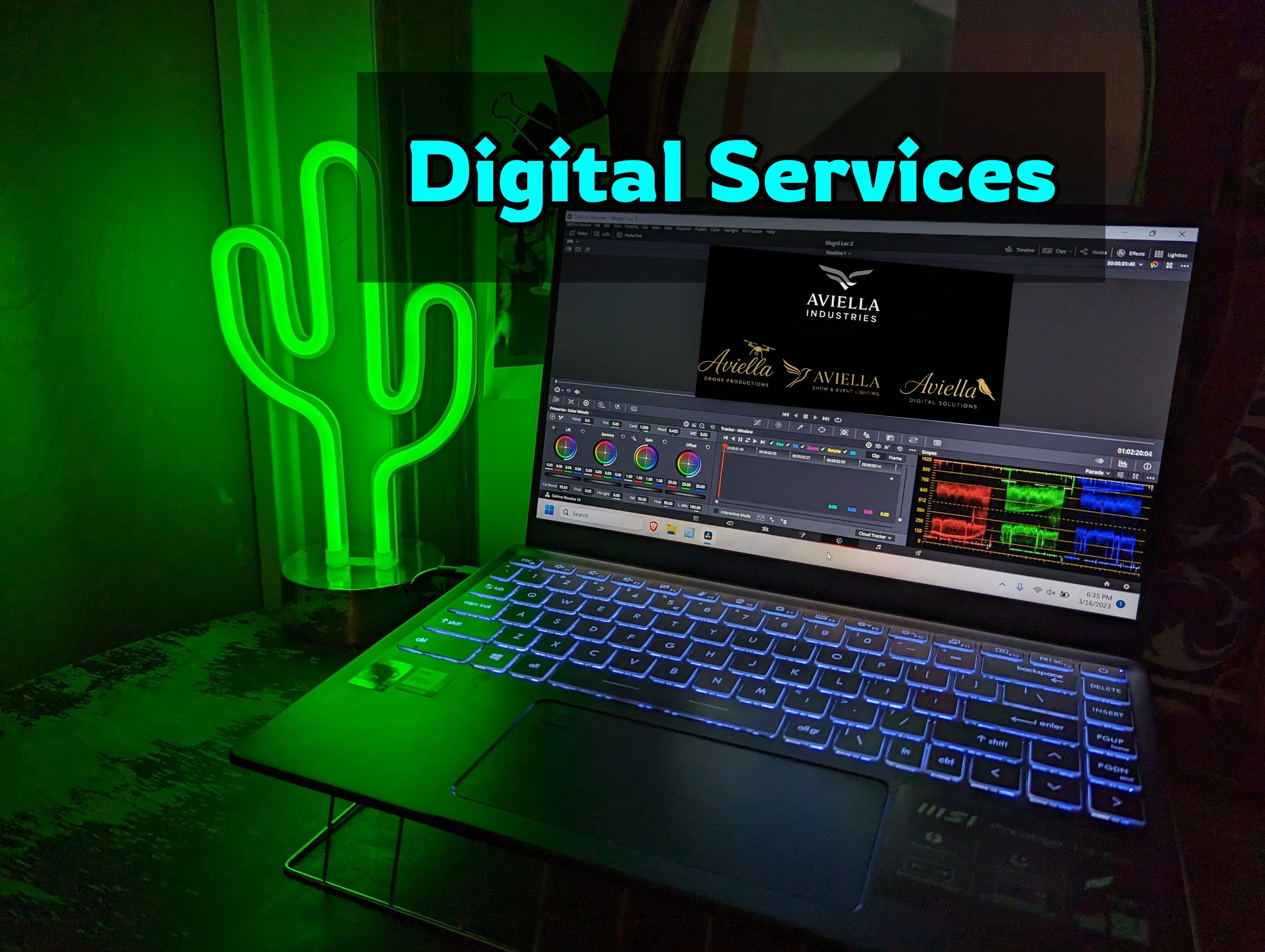 Digital Services