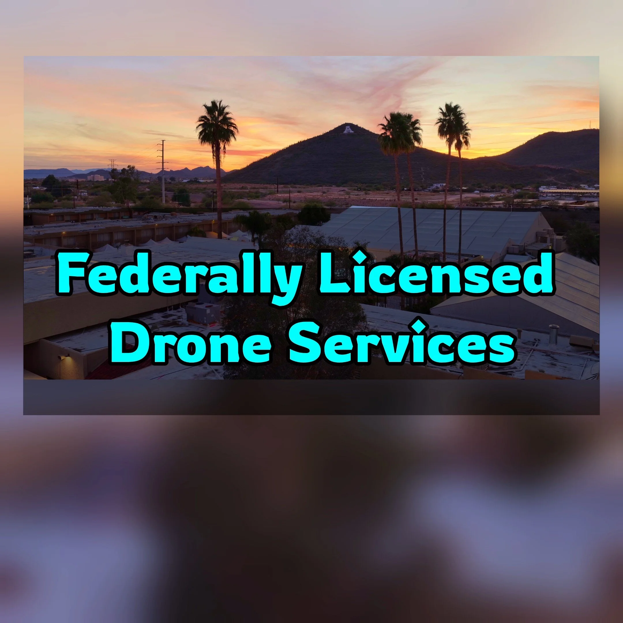 Drone Services