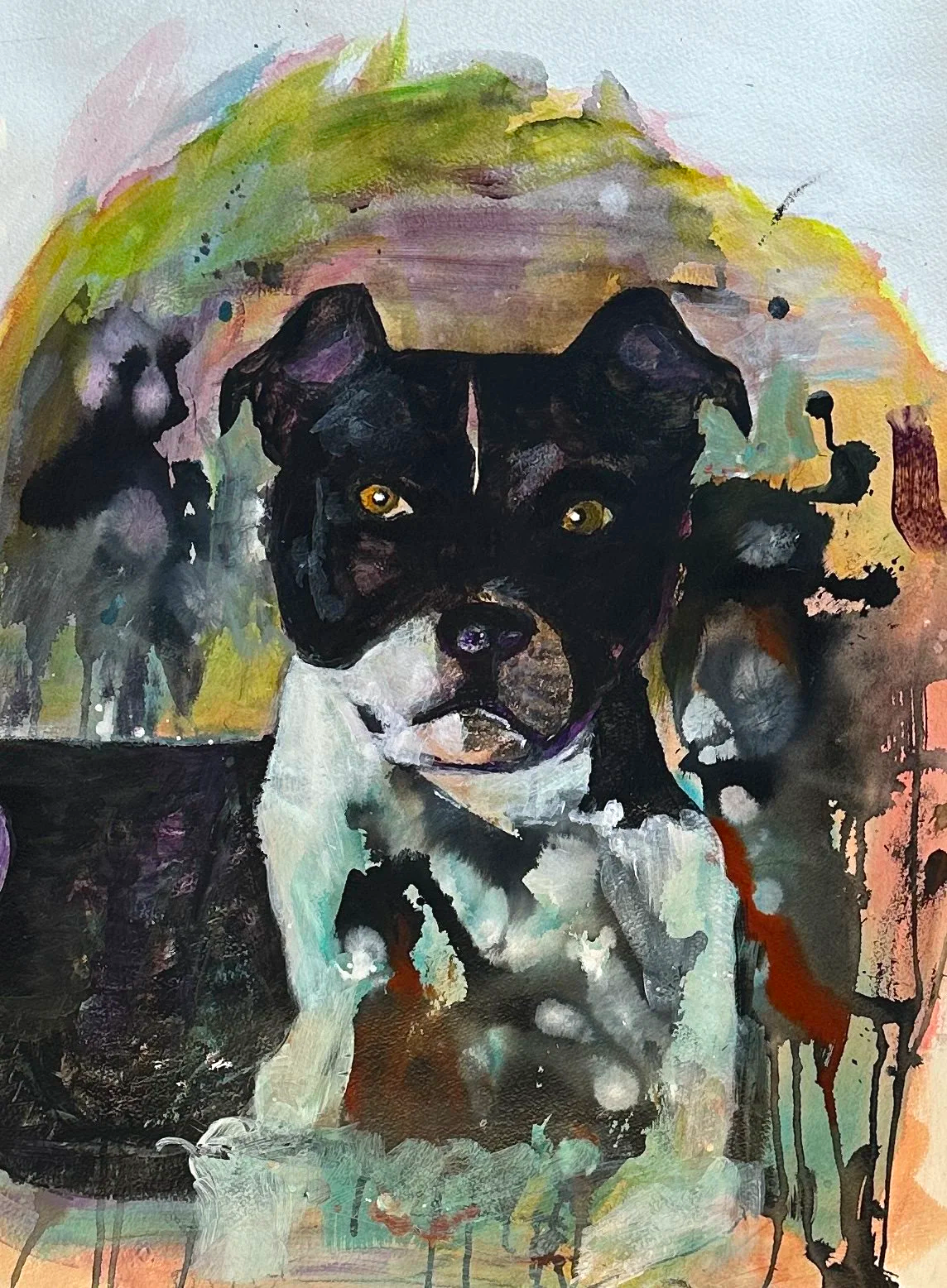Abstract watercolor painting of a black and white dog with yellow eyes, set against a colorful, splattered background.