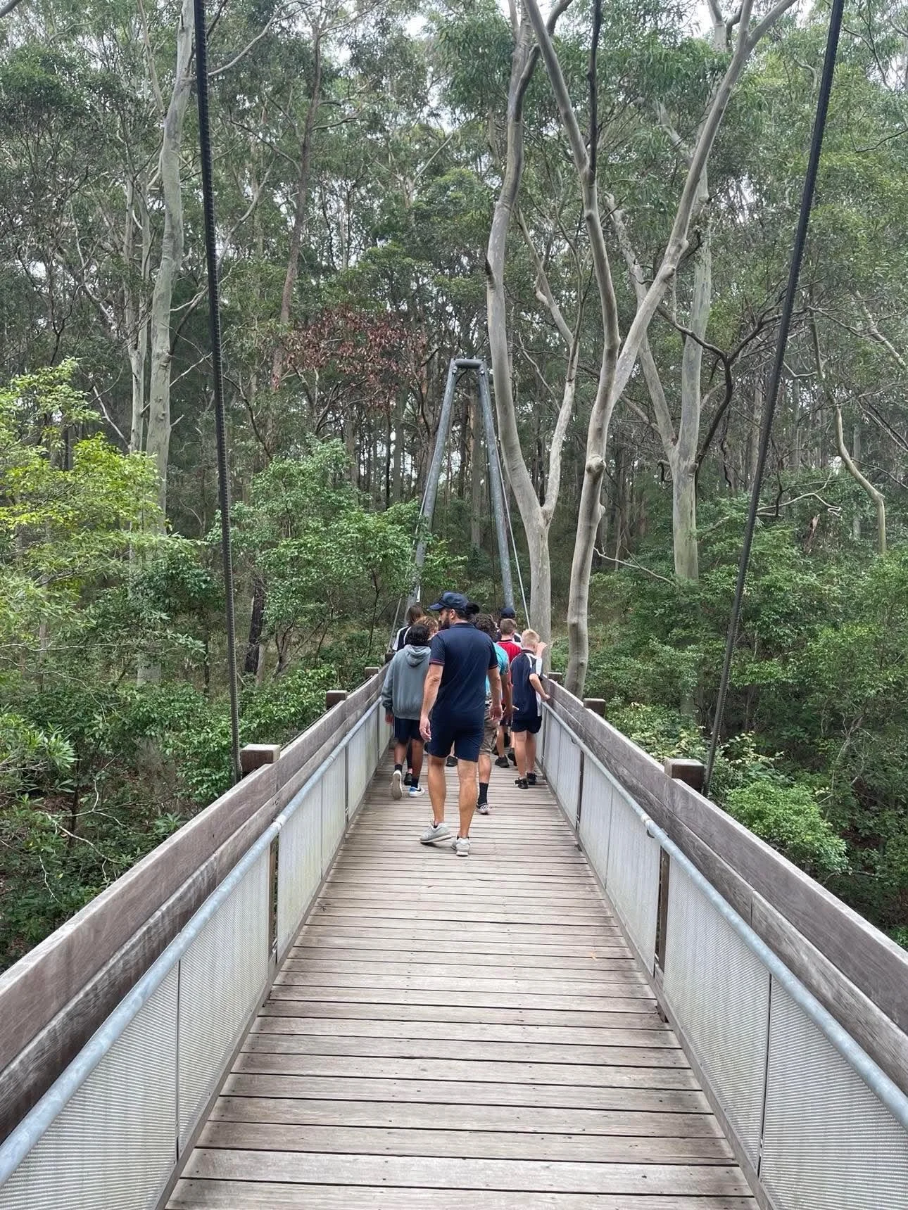 People walking on a wooden suspension bridge surrounded by dense green trees in a forest.
