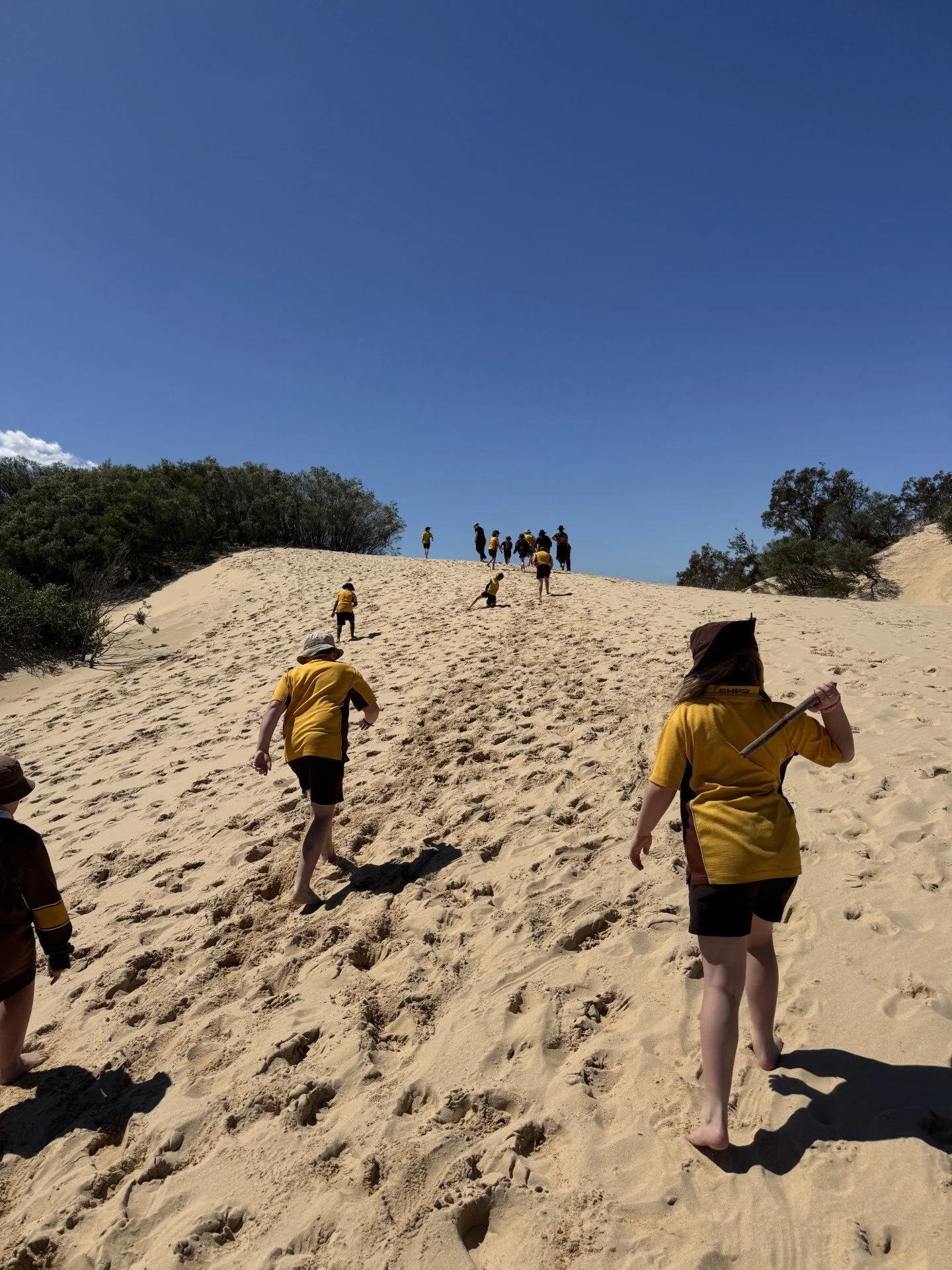 Children and adults in yellow shirts hiking up a sandy hill with green bushes and trees on either side under a clear blue sky.