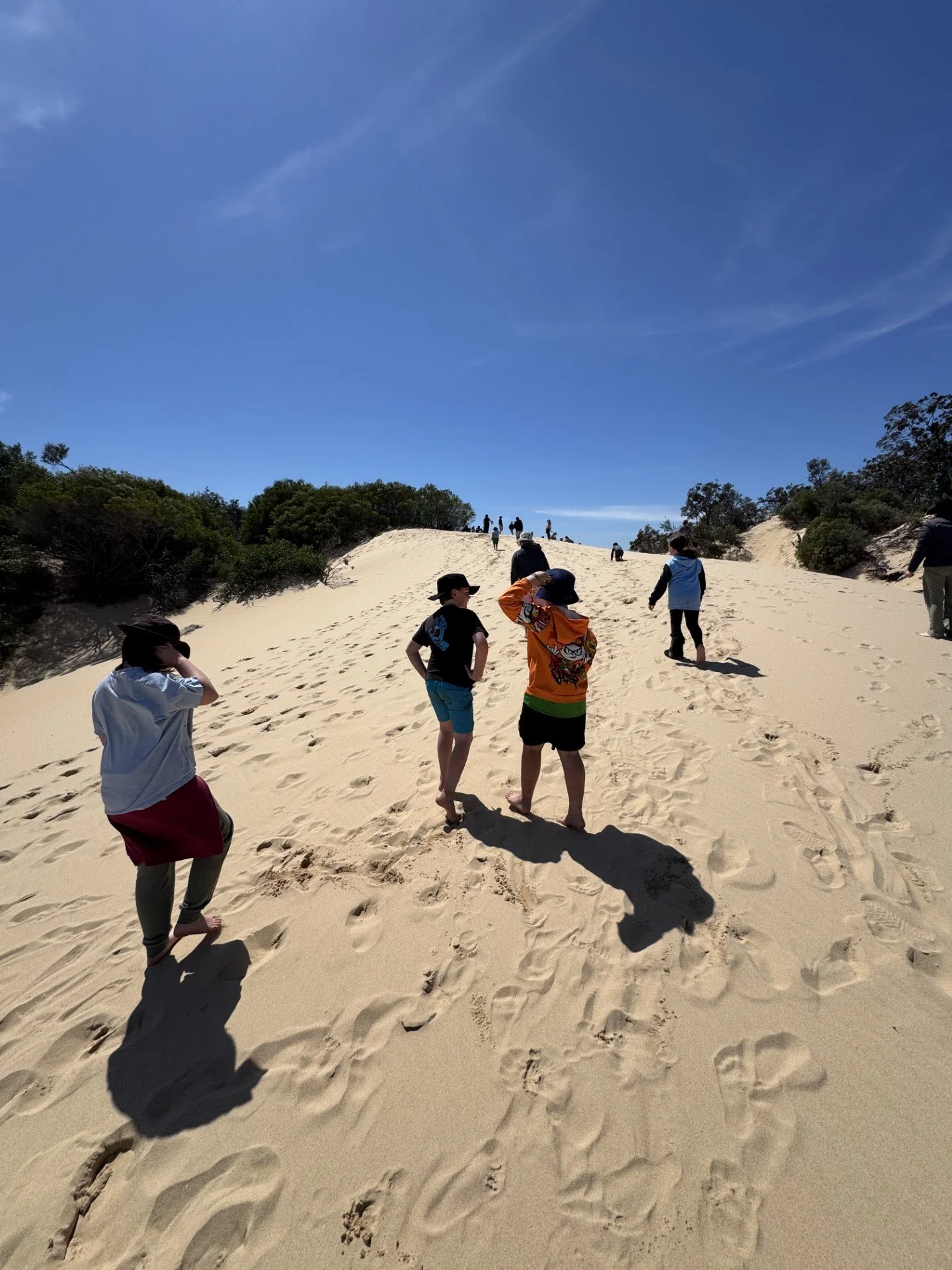 People walking up a sandy dune with footprints in the sand and green bushes on either side under a blue sky with few clouds.