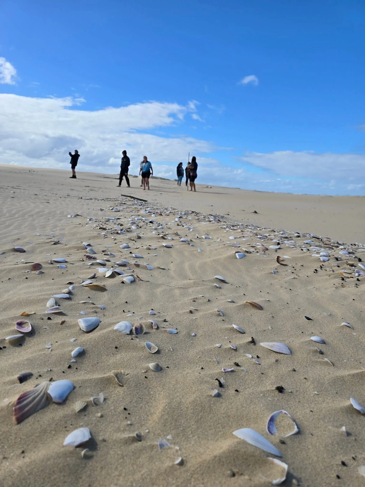 A group of people walking on a sandy beach with shells scattered on the ground, under a bright blue sky with some clouds.