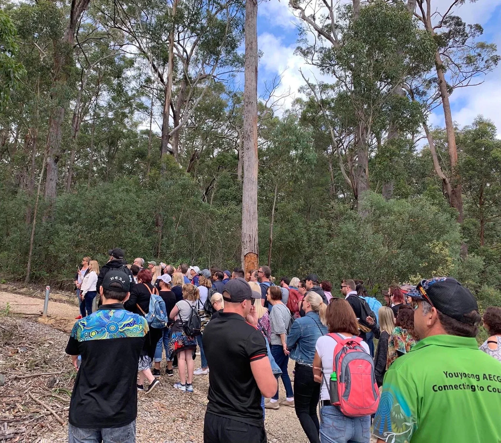 Crowd of people waiting outdoors near a forested area with tall trees and blue sky. Many individuals are wearing casual clothing, some with backpacks, standing in a line or congregating.