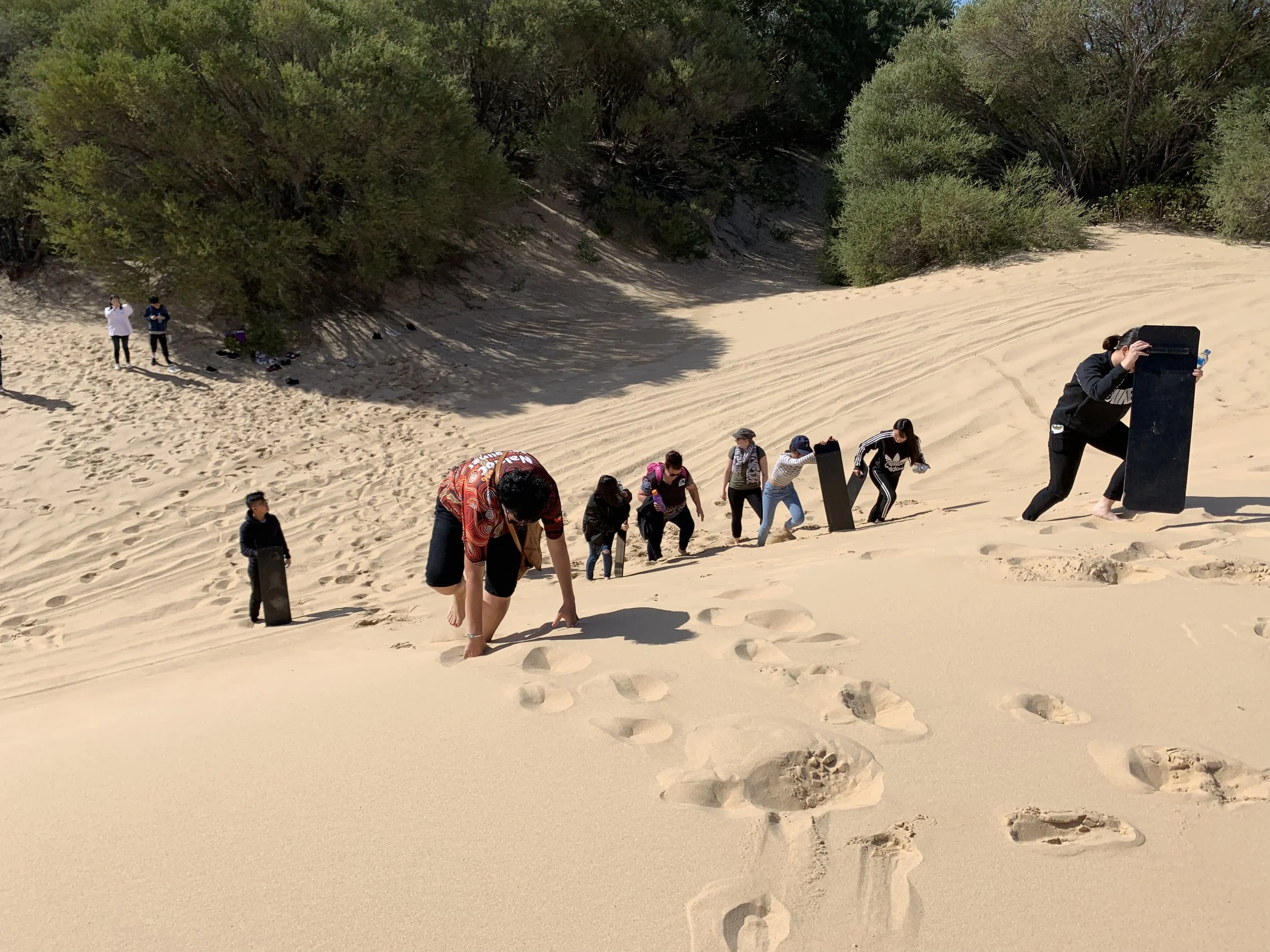 People walking up sandy dune background with green shrubbery and trees