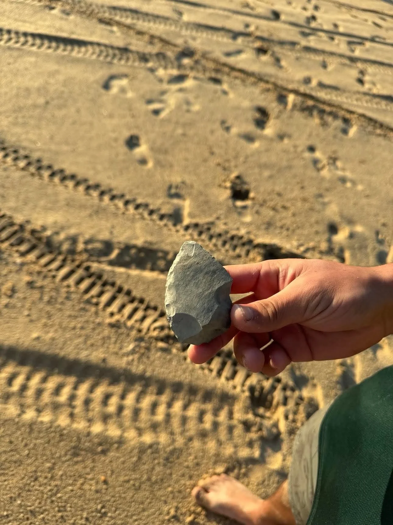 A person holding a gray stone on a sandy beach with various tire and animal tracks in the sand.