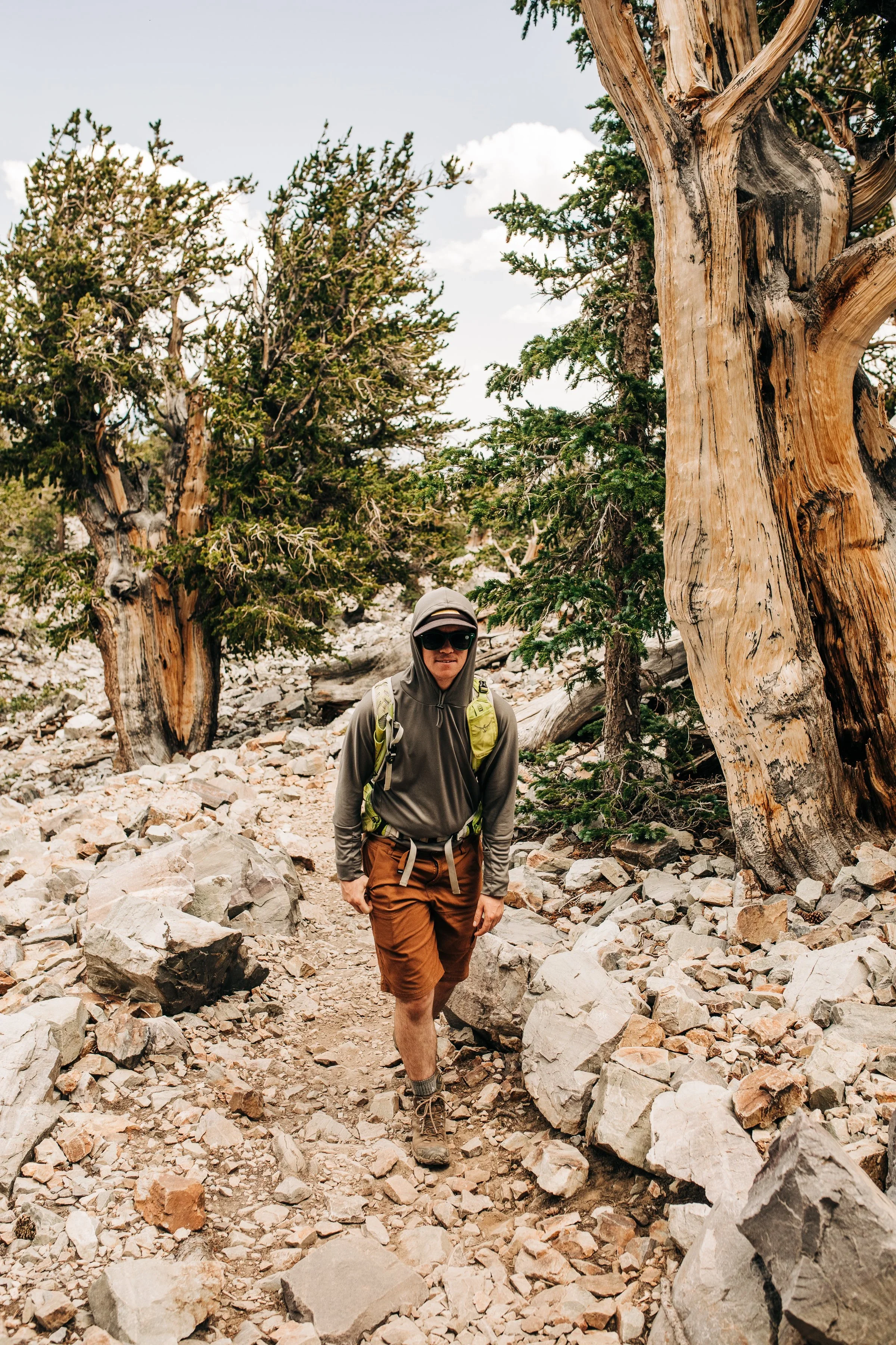 Person hiking on rocky trail surrounded by trees, wearing a hoodie, shorts, sunglasses, and carrying a backpack.