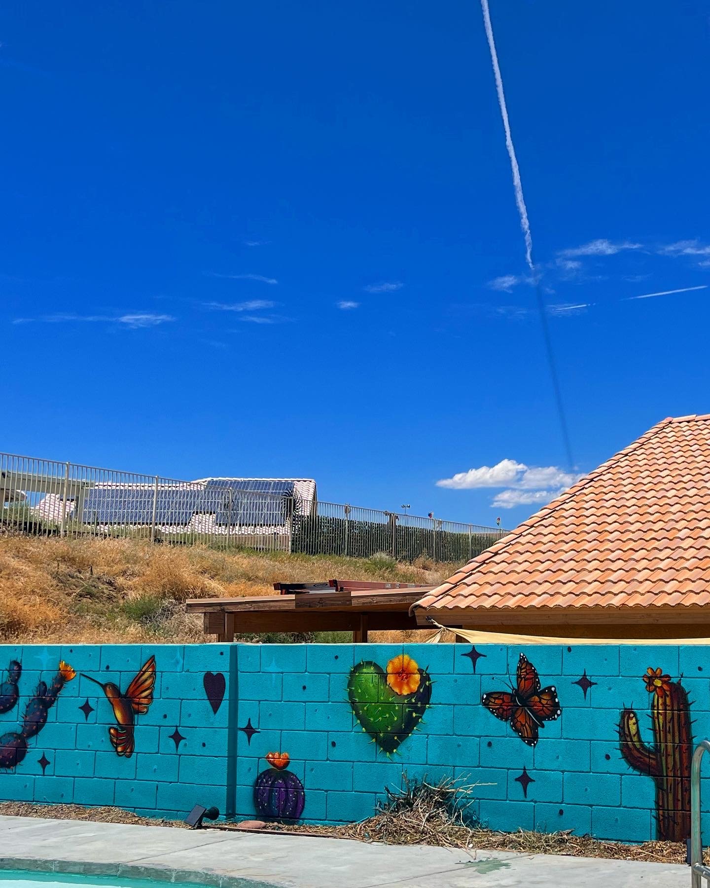 Desert Mural 
AirBnb
Yucca Valley, CA 