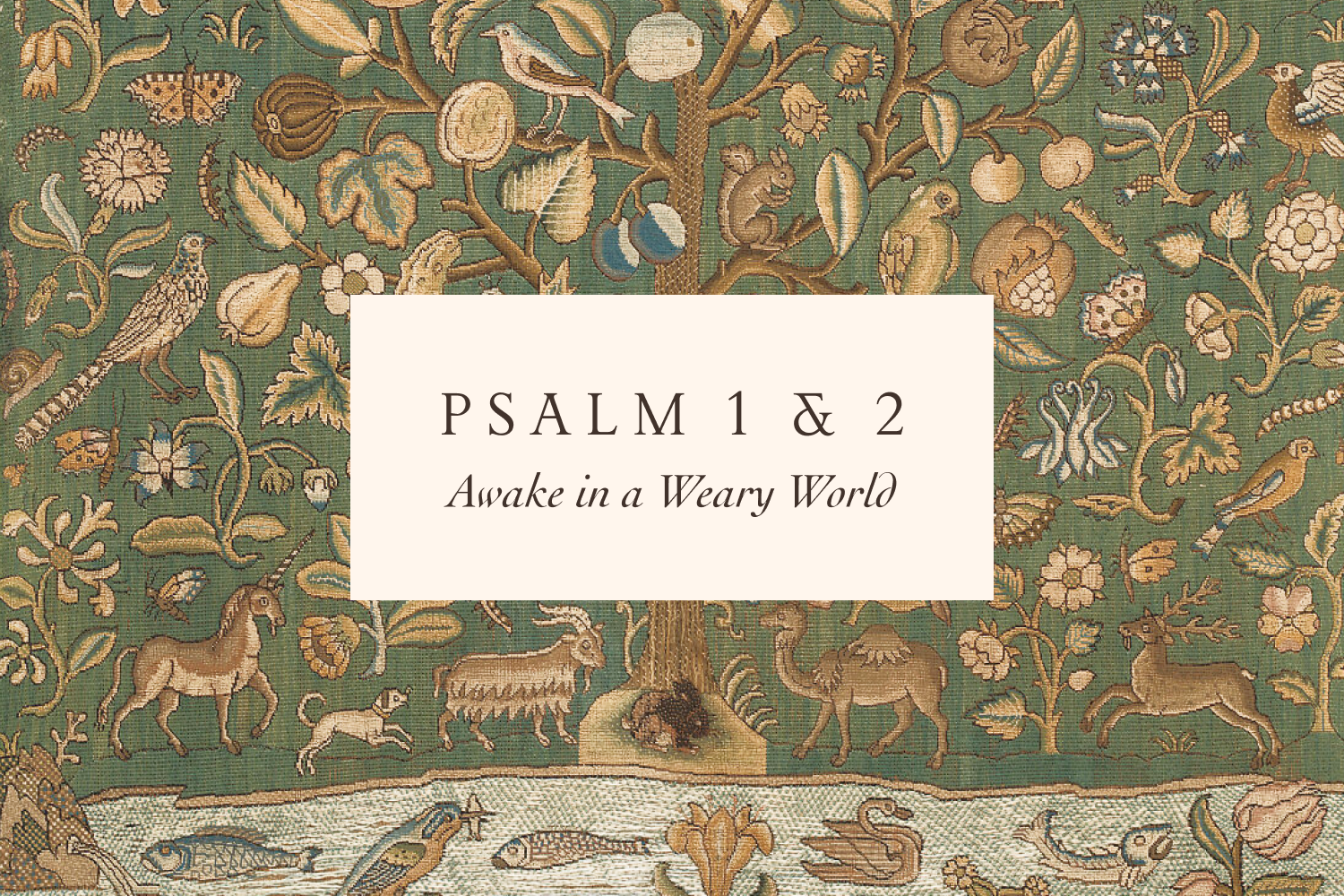 Psalm 1 & 2 – Ordinary Time 2026