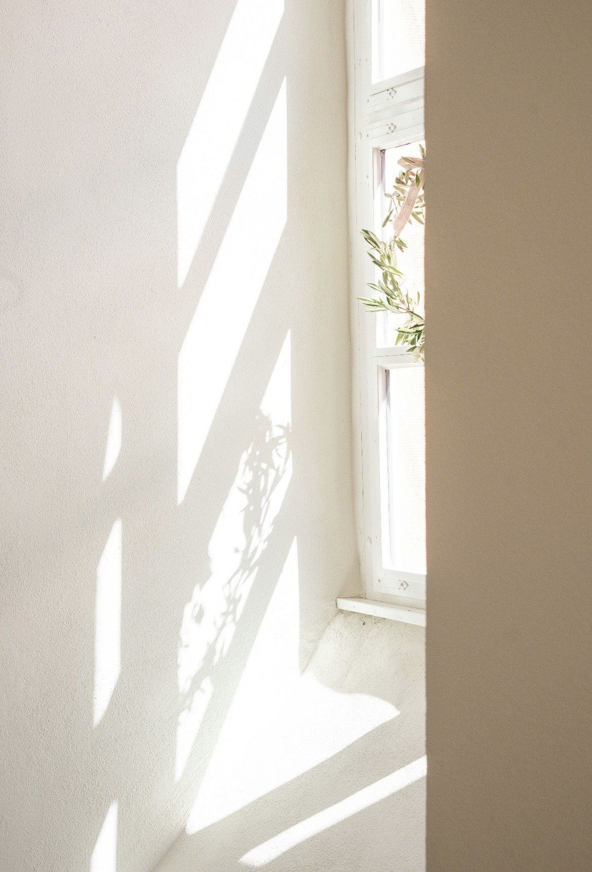 You might be here because: