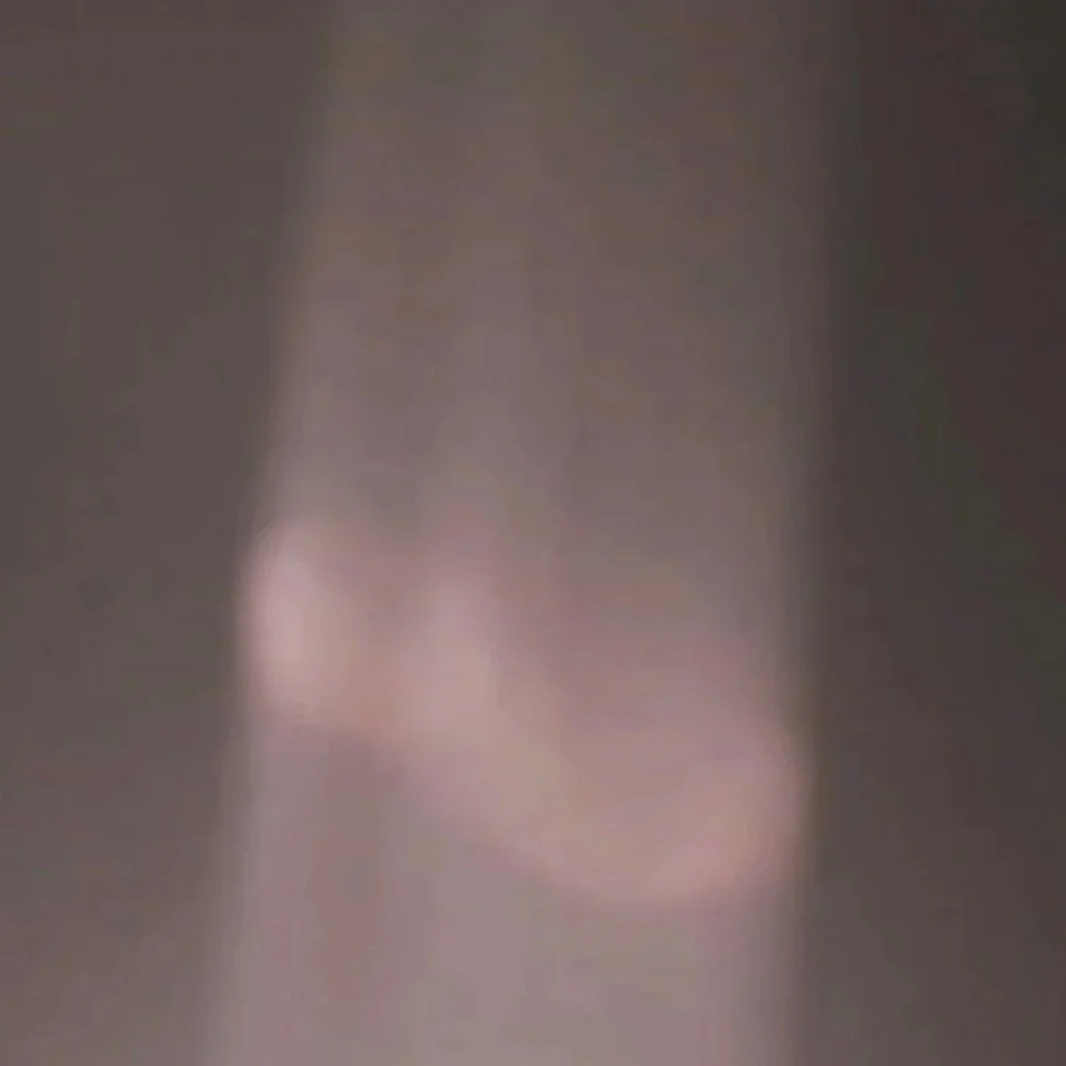 9D6FF0BD-2049-4591-88A8-C144209D4991.jpg