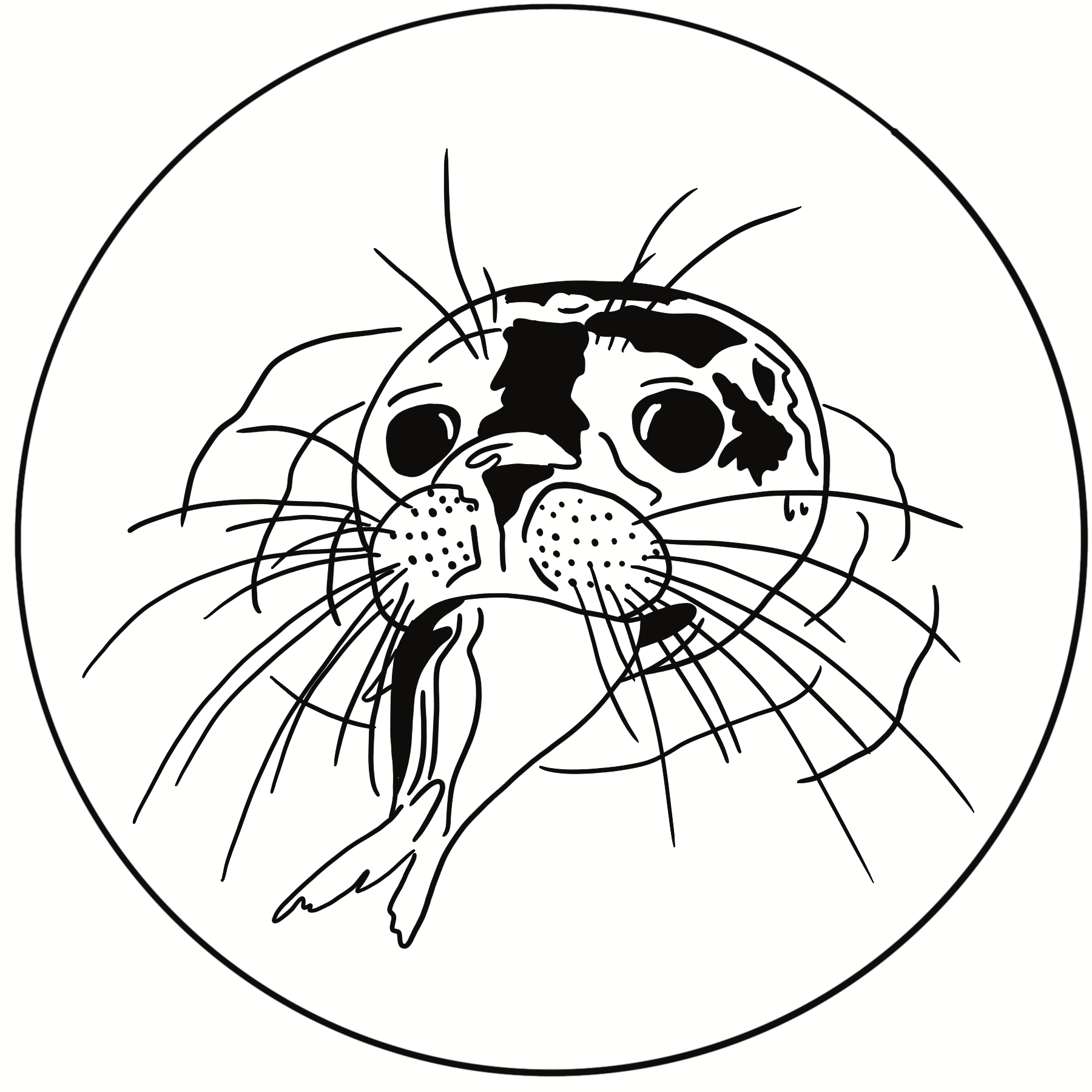 IMG_0519.PNG