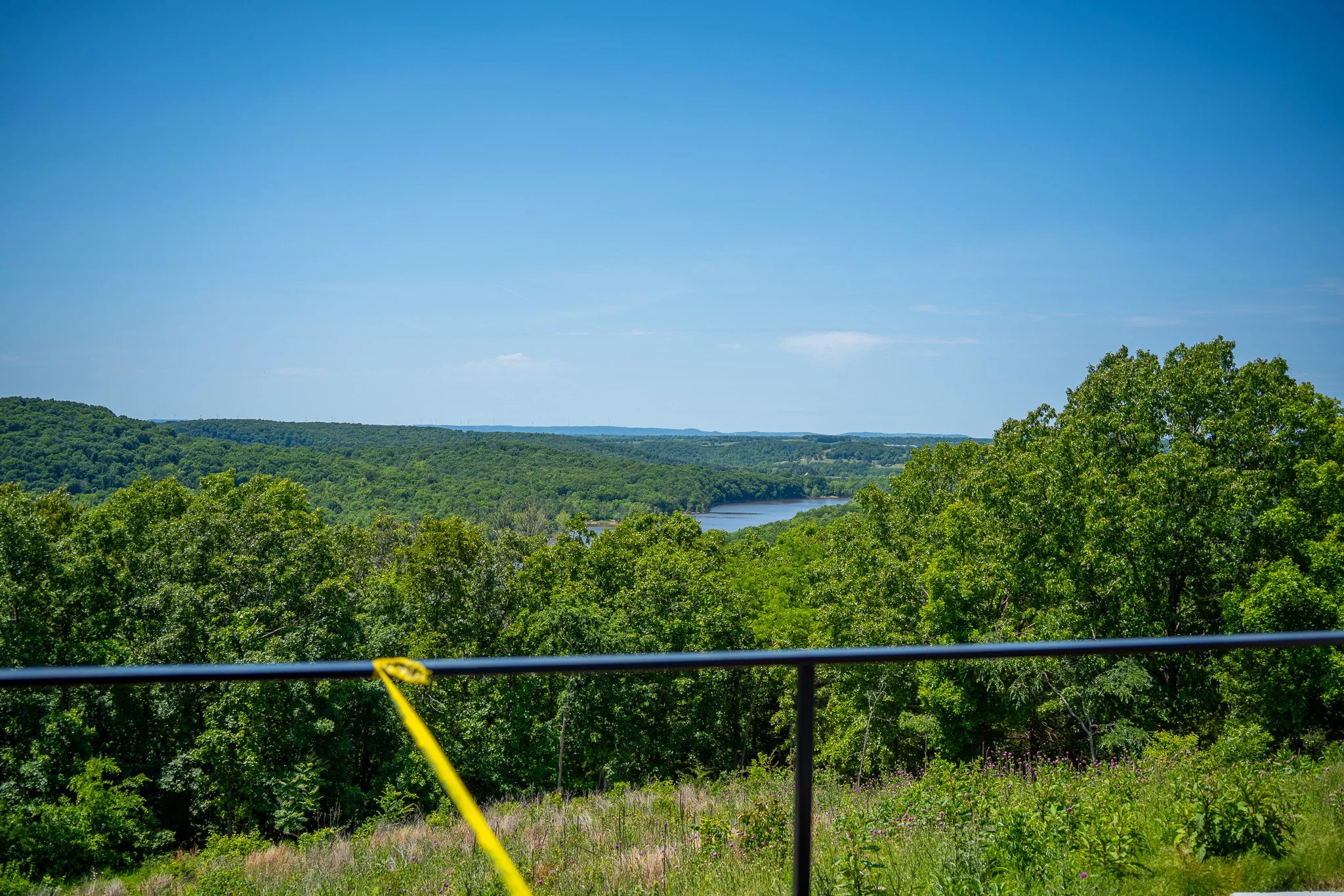 Scenic view of lush green trees, a river, and rolling hills under a clear blue sky.