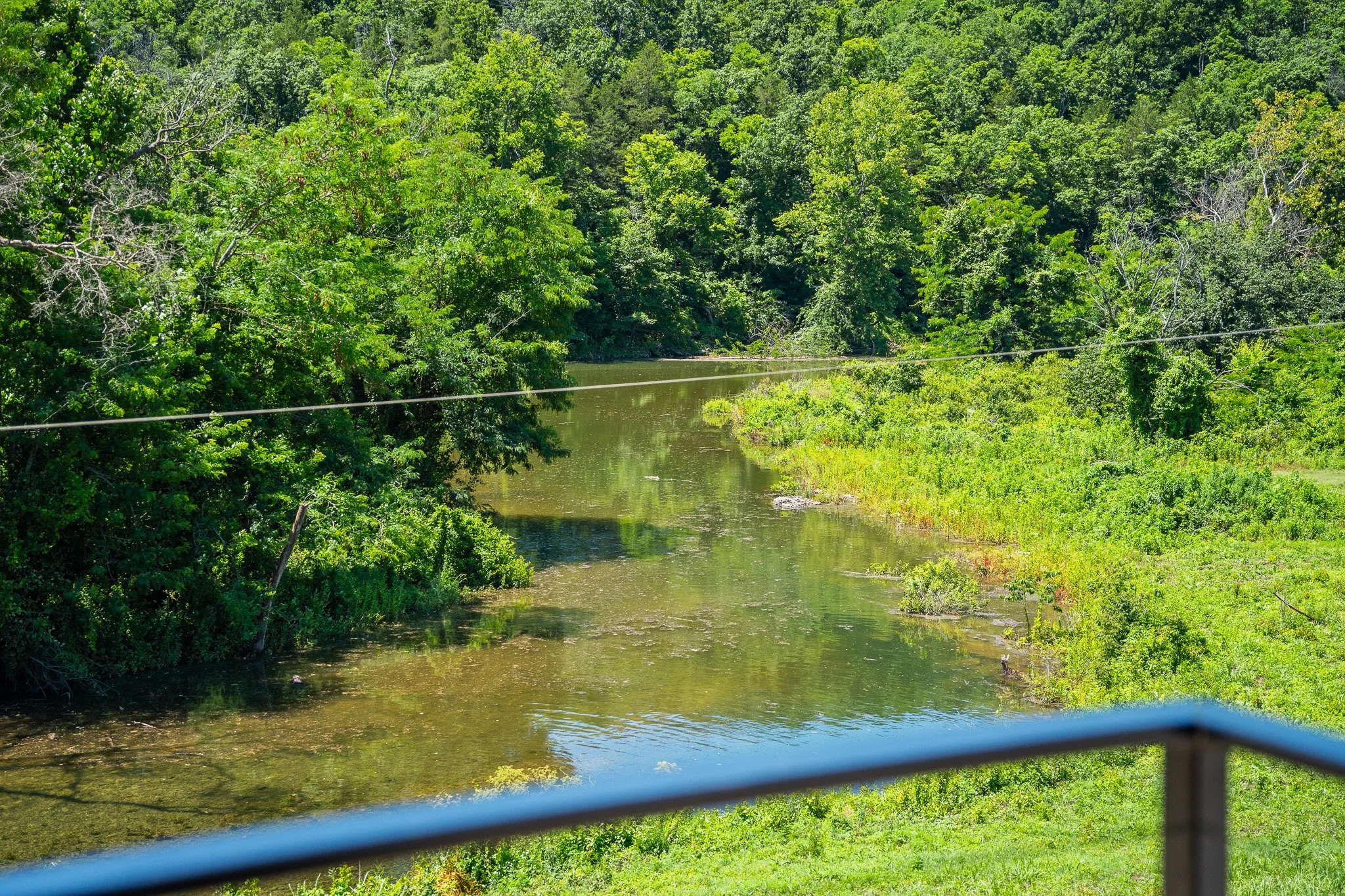 A river flowing through a lush green forest with dense trees on both sides and a wire crossing the scene