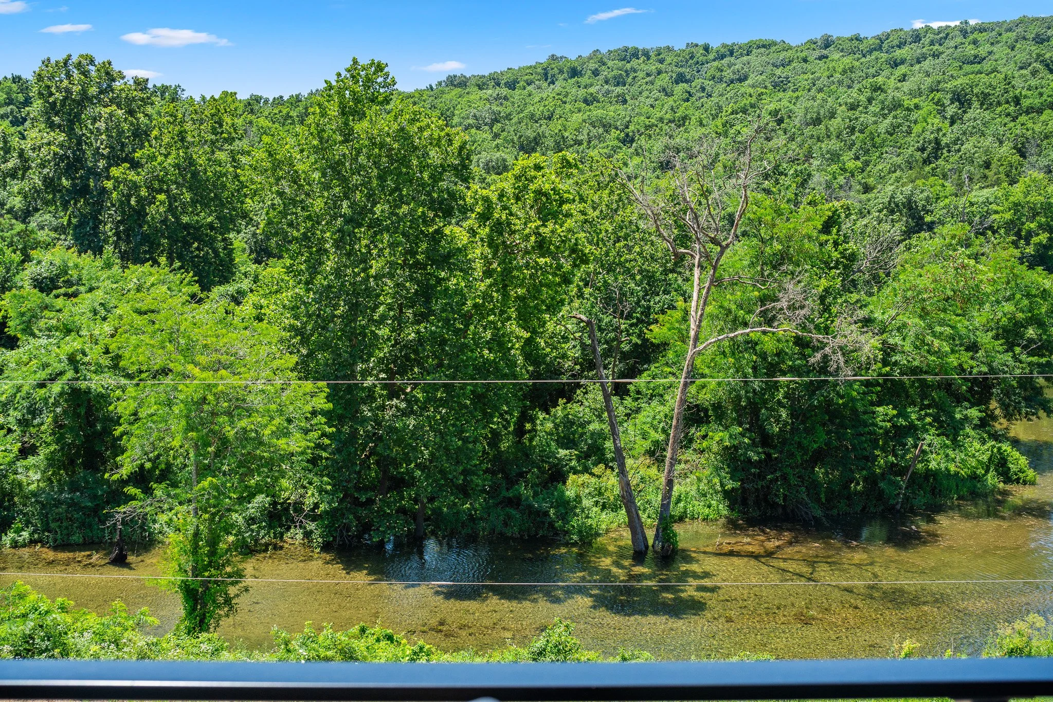 View of a lush green forest with trees, a river or pond, and distant hills under a partly cloudy sky.