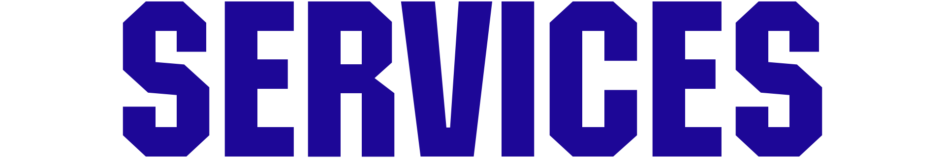 The word 'SERVICES' written in bold, uppercase, navy blue letters on a white background.