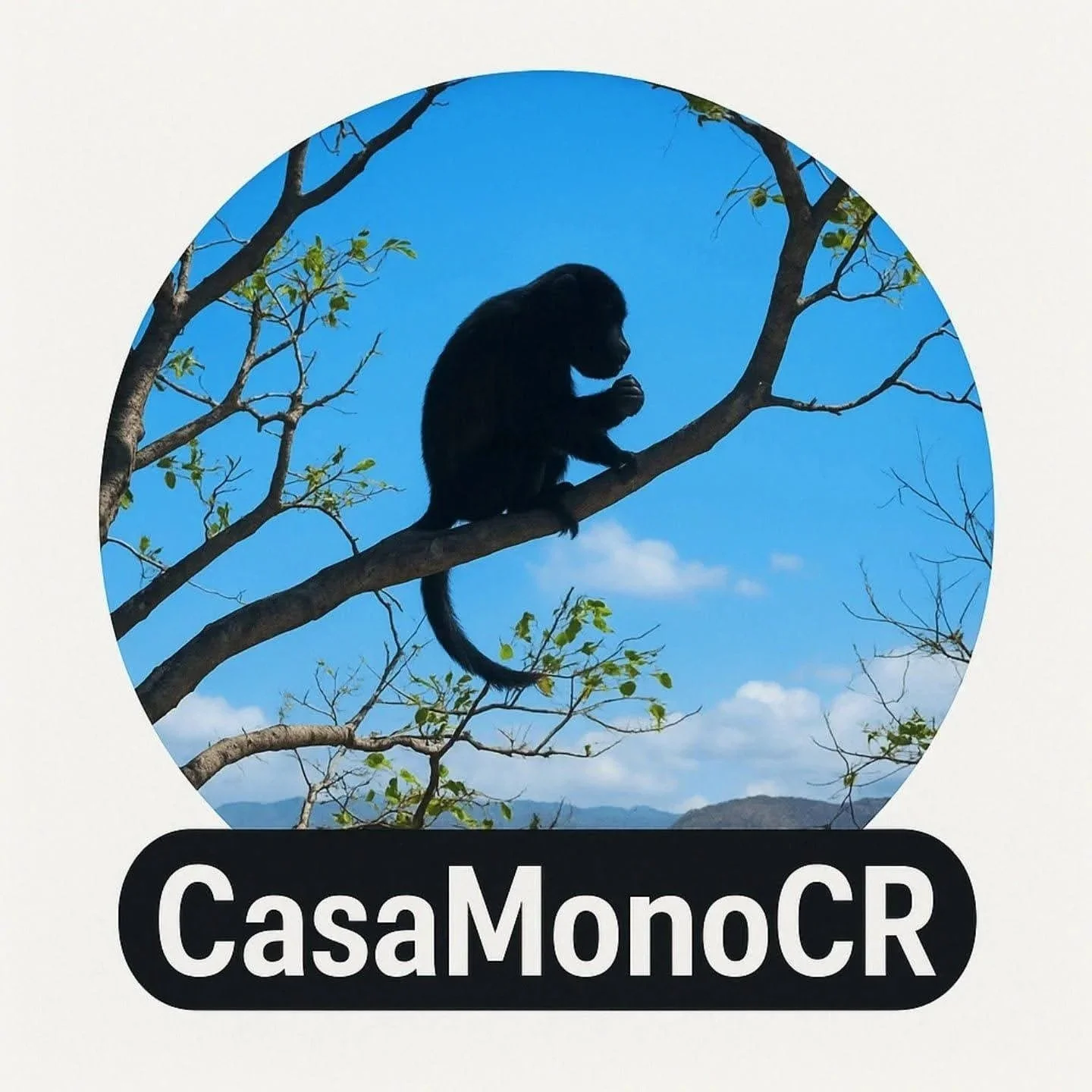 Silhouette of a monkey sitting on a tree branch against a blue sky with clouds, with the text 'CasaMonoCR' below in black and white.