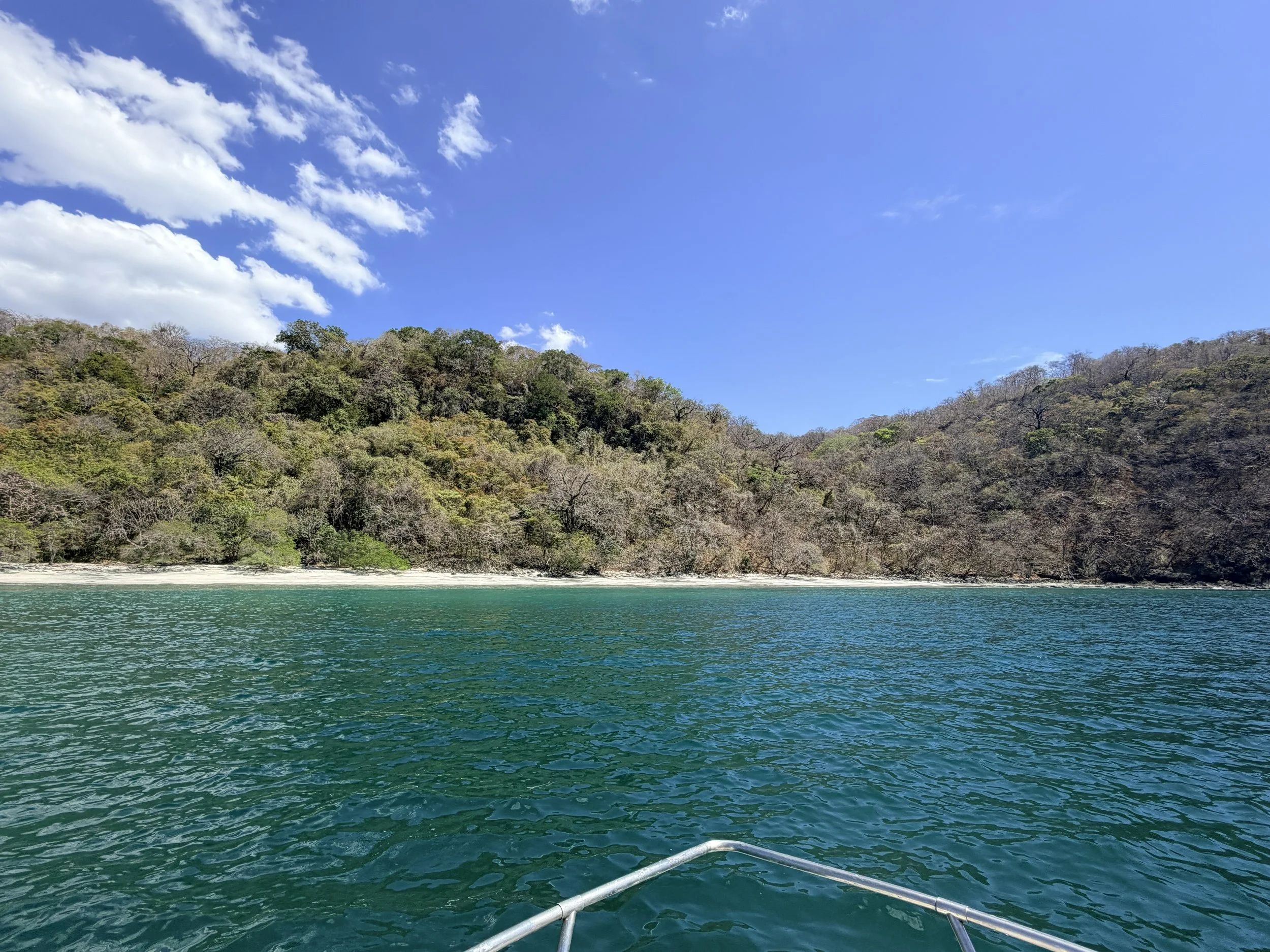 A view from a boat on a green body of water facing a forested hillside with trees, under a partly cloudy blue sky.
