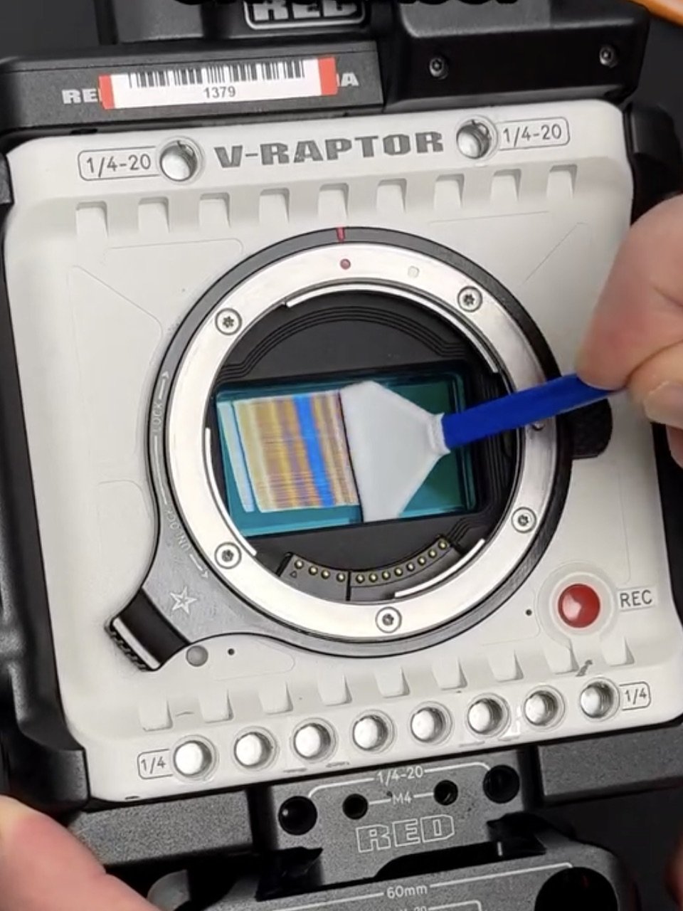 Revolt Camera - Sensor Clean - 2025