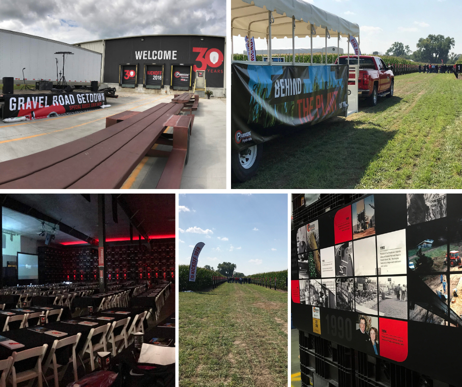 Collage of photos from an outdoor event with a stage, a food and beverage area, a large display of black and white photographs and a grassy field with event banners.