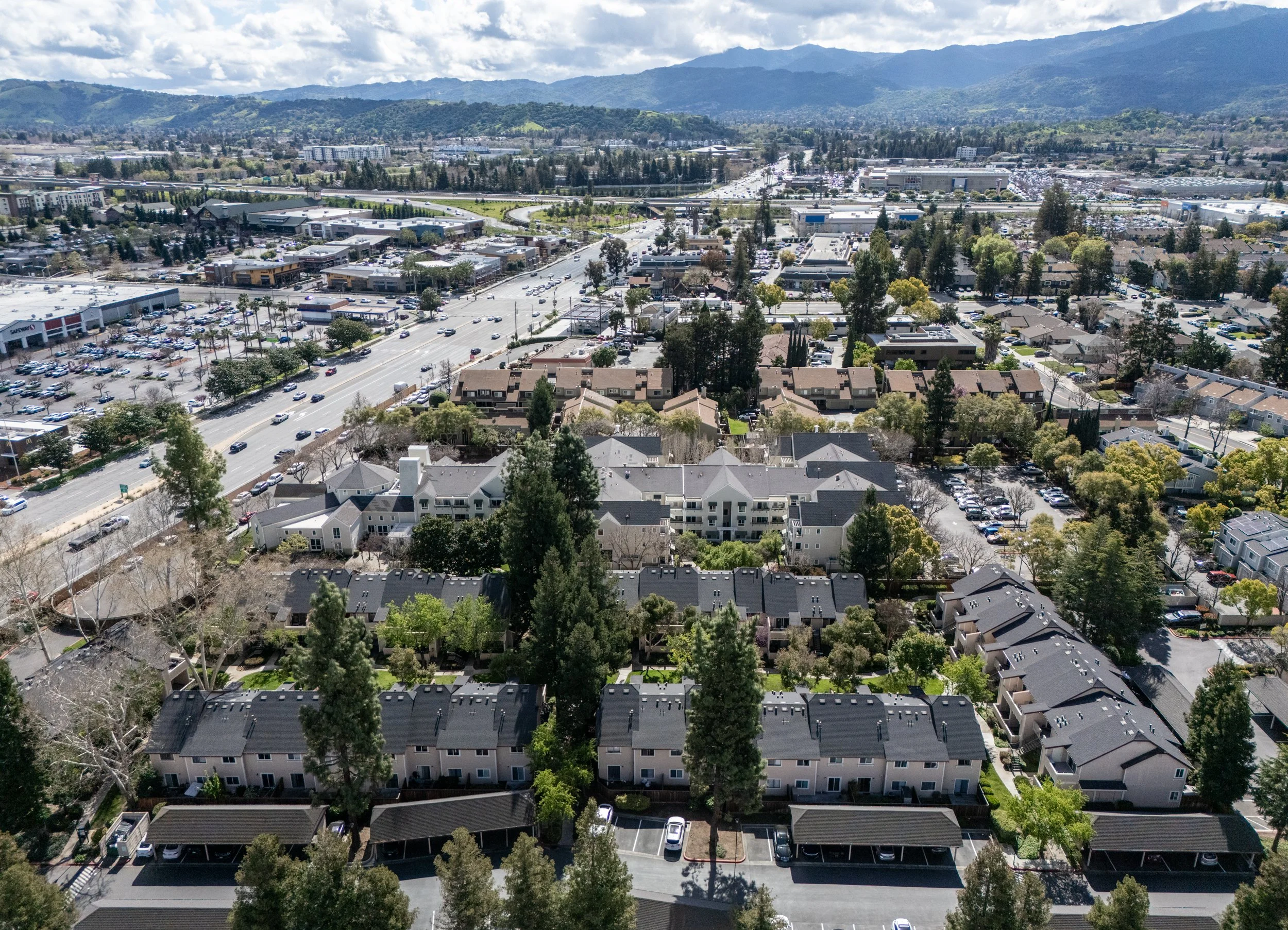 20-Cedar_Matt Anello--2-MLS.jpg