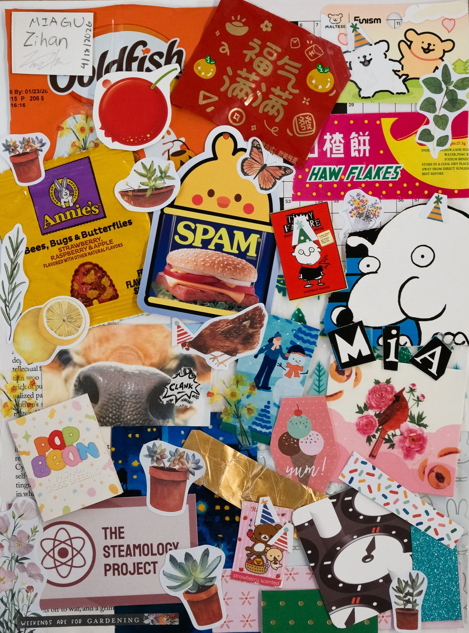 DSCF4880.jpg