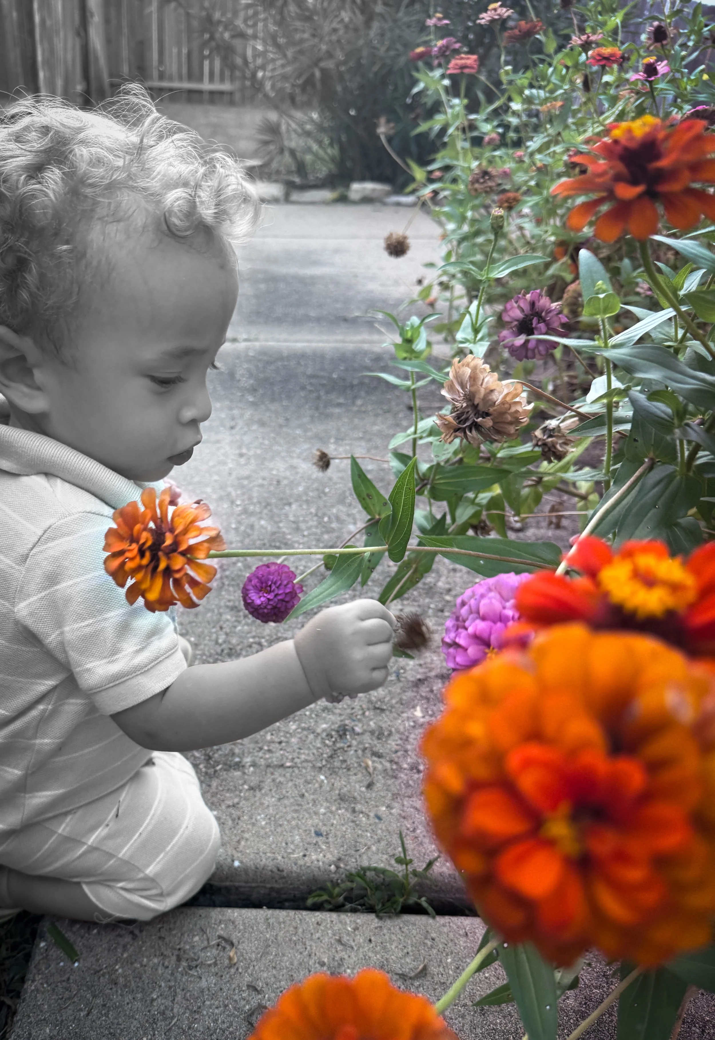 Archer Black and White.jpg