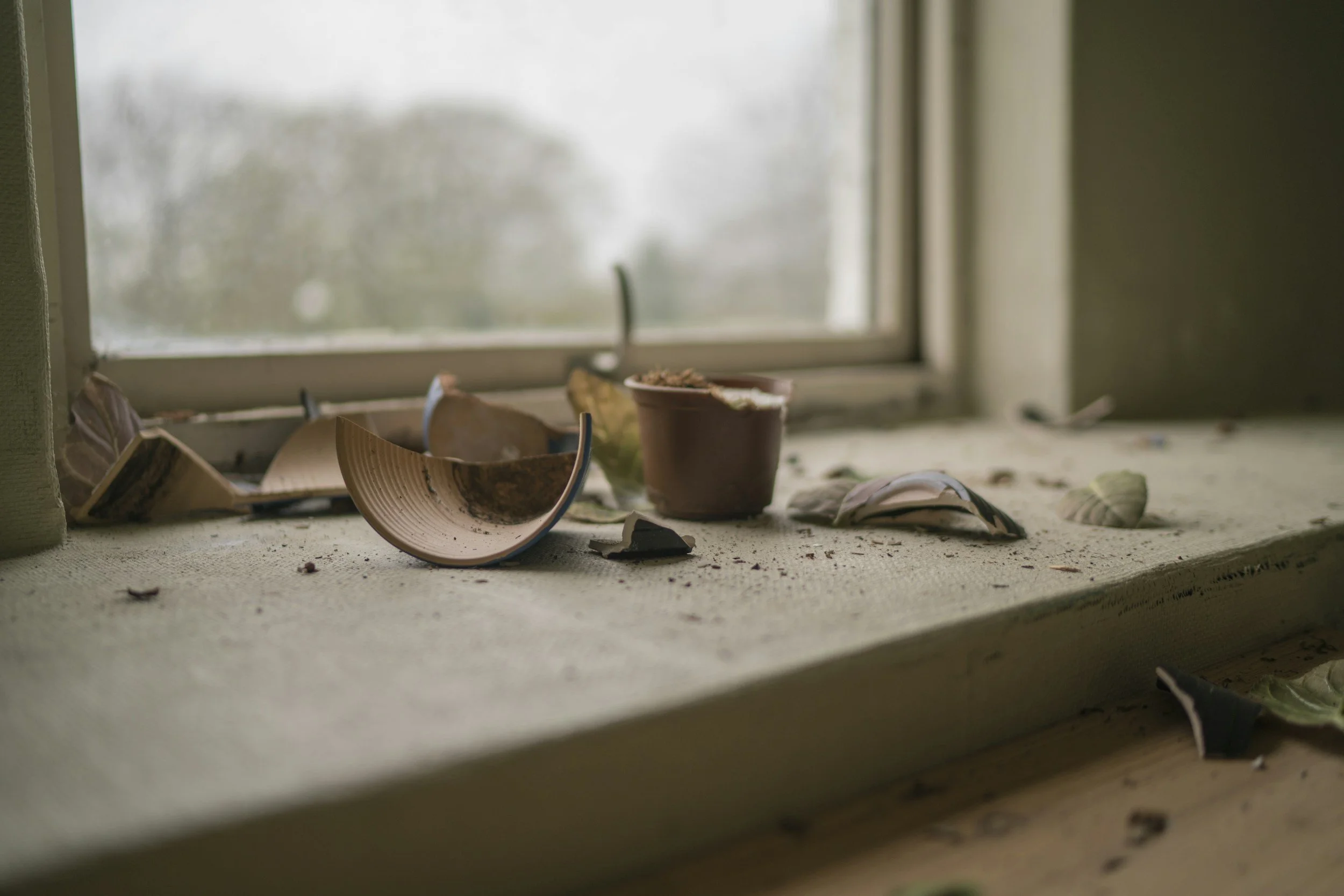 Dirty windowsill with broken ceramics, shells, a small flowerpot, and debris inside a room.