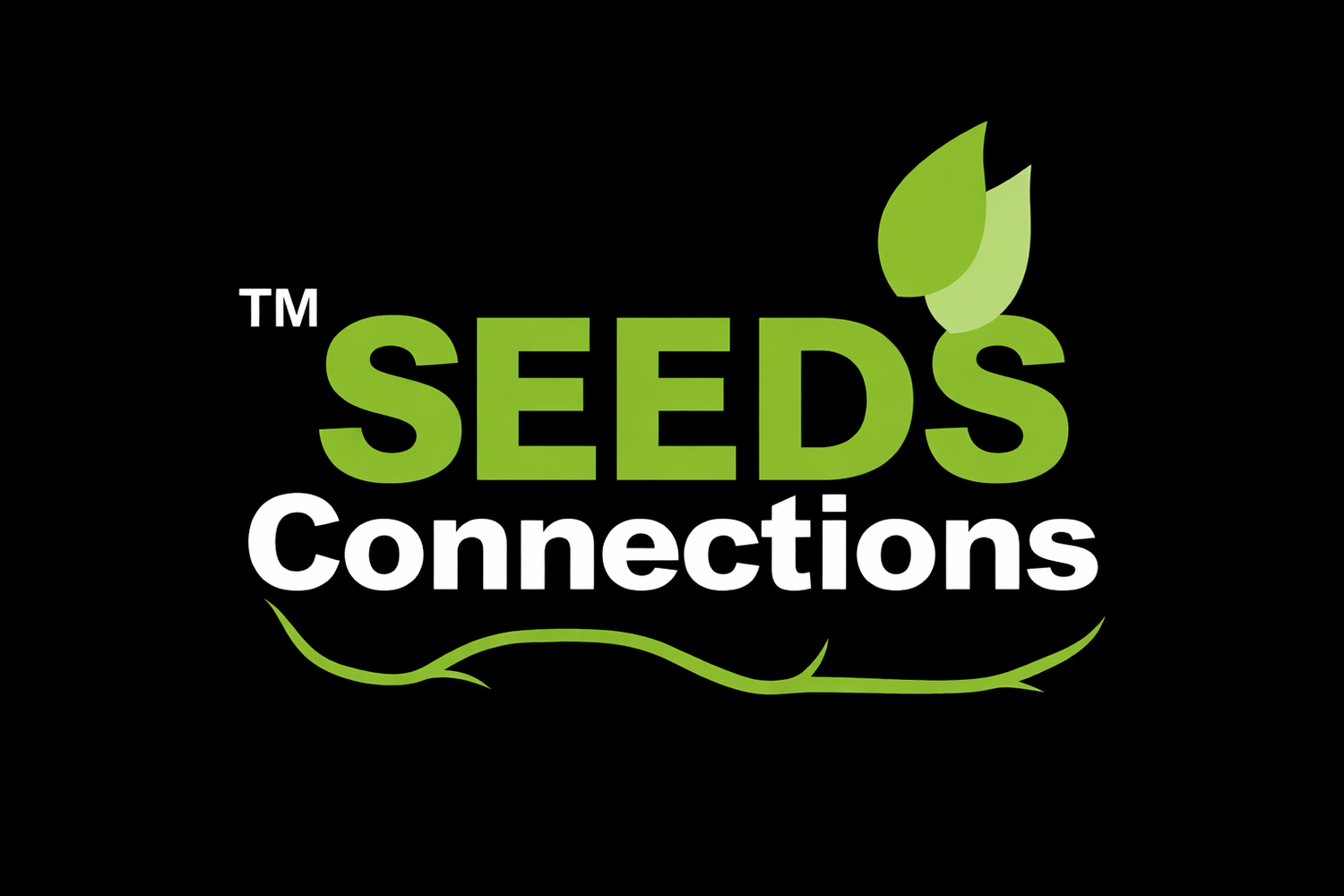 SEEDS Connections