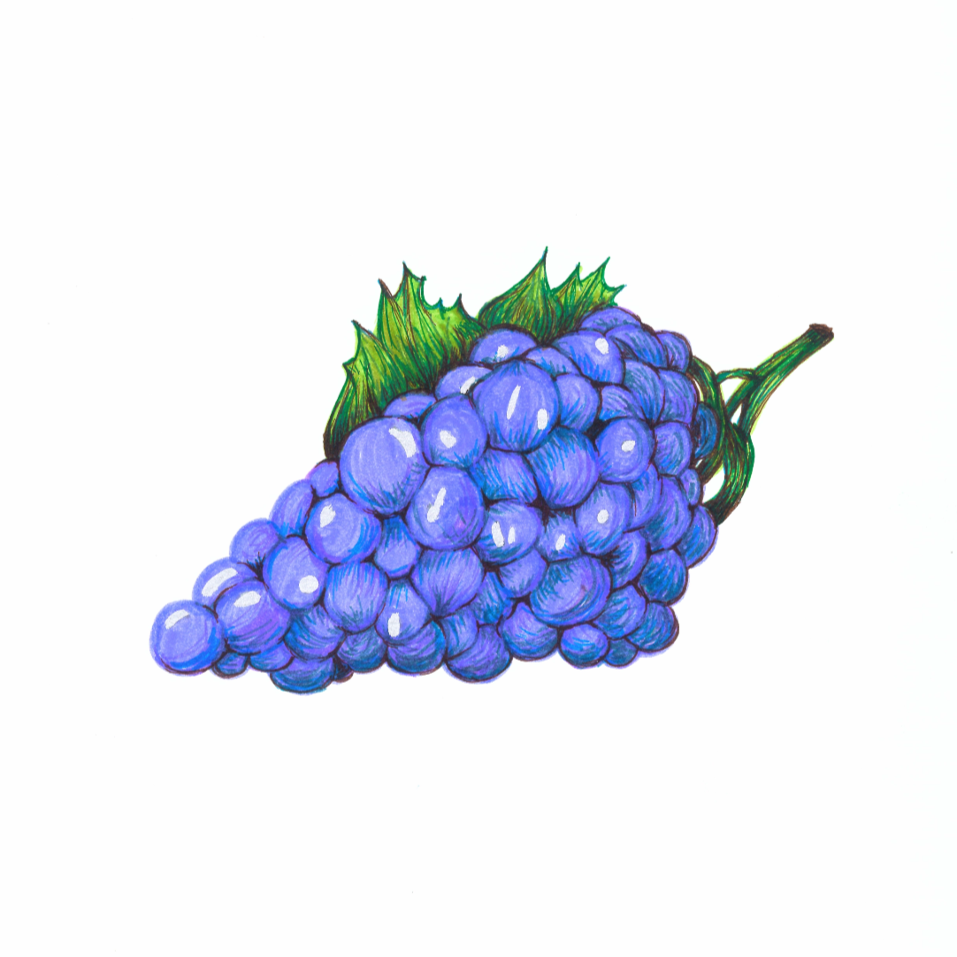 IMG_4594.png