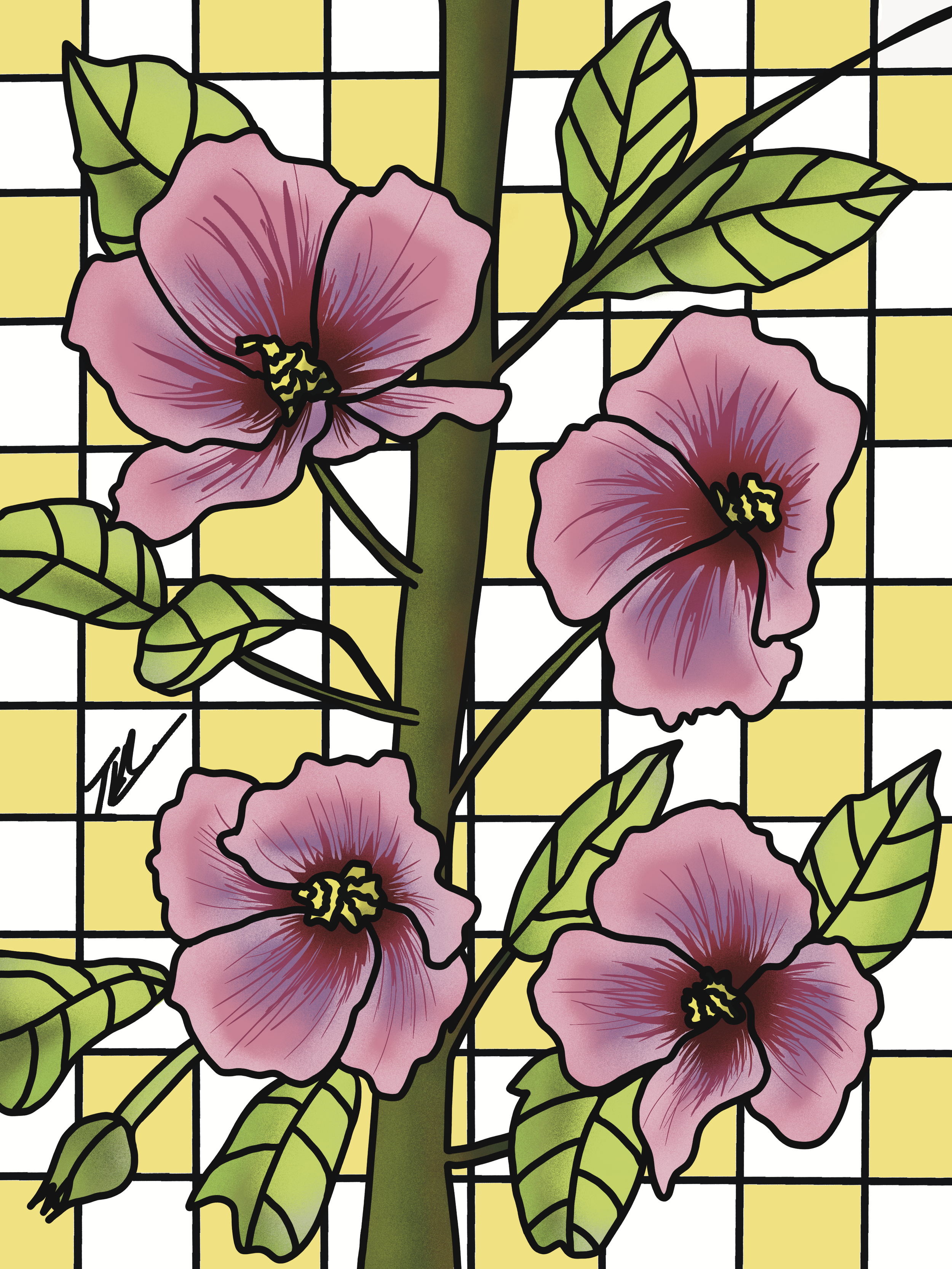 IMG_1917.png