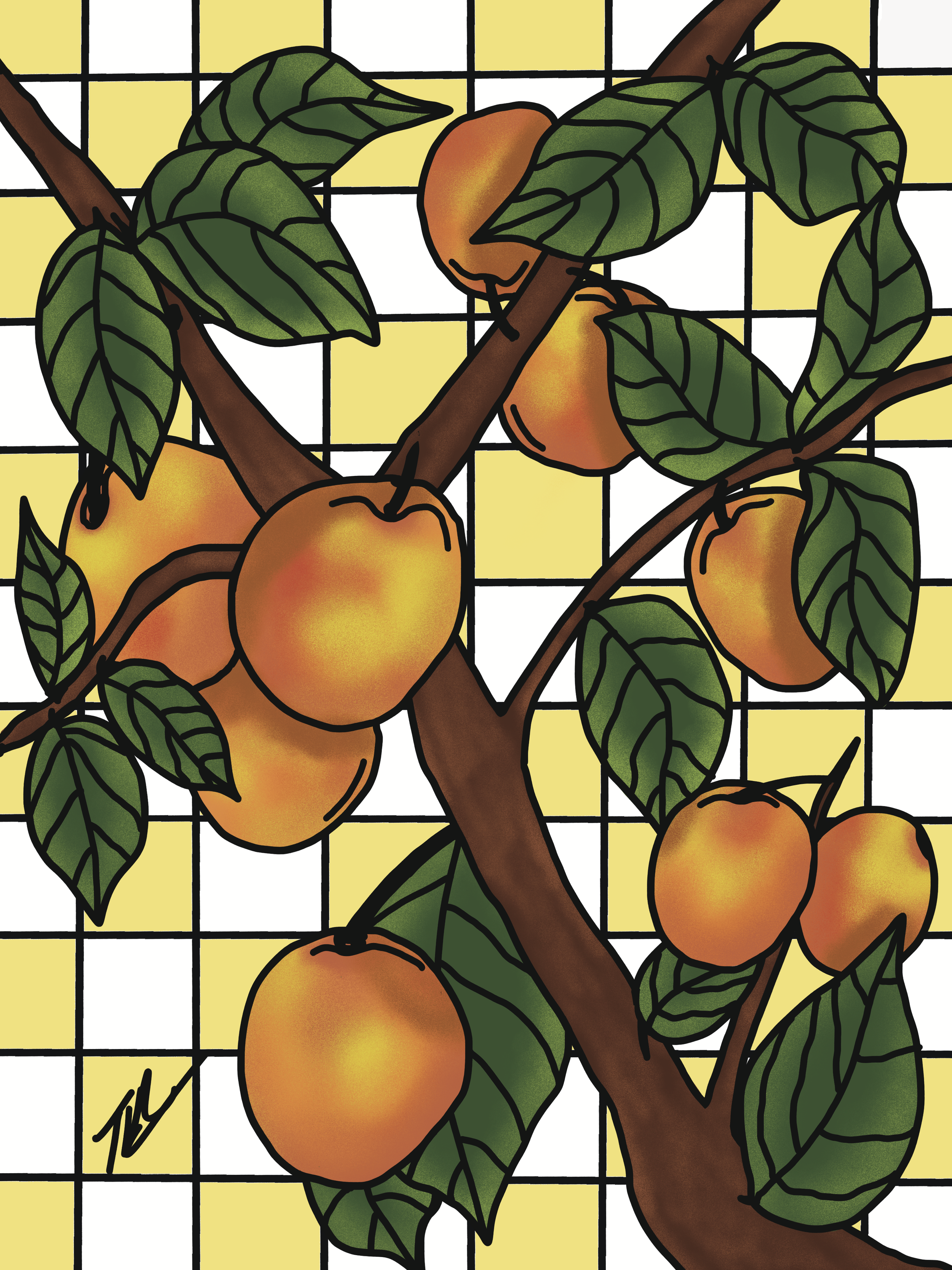 Apricots.png