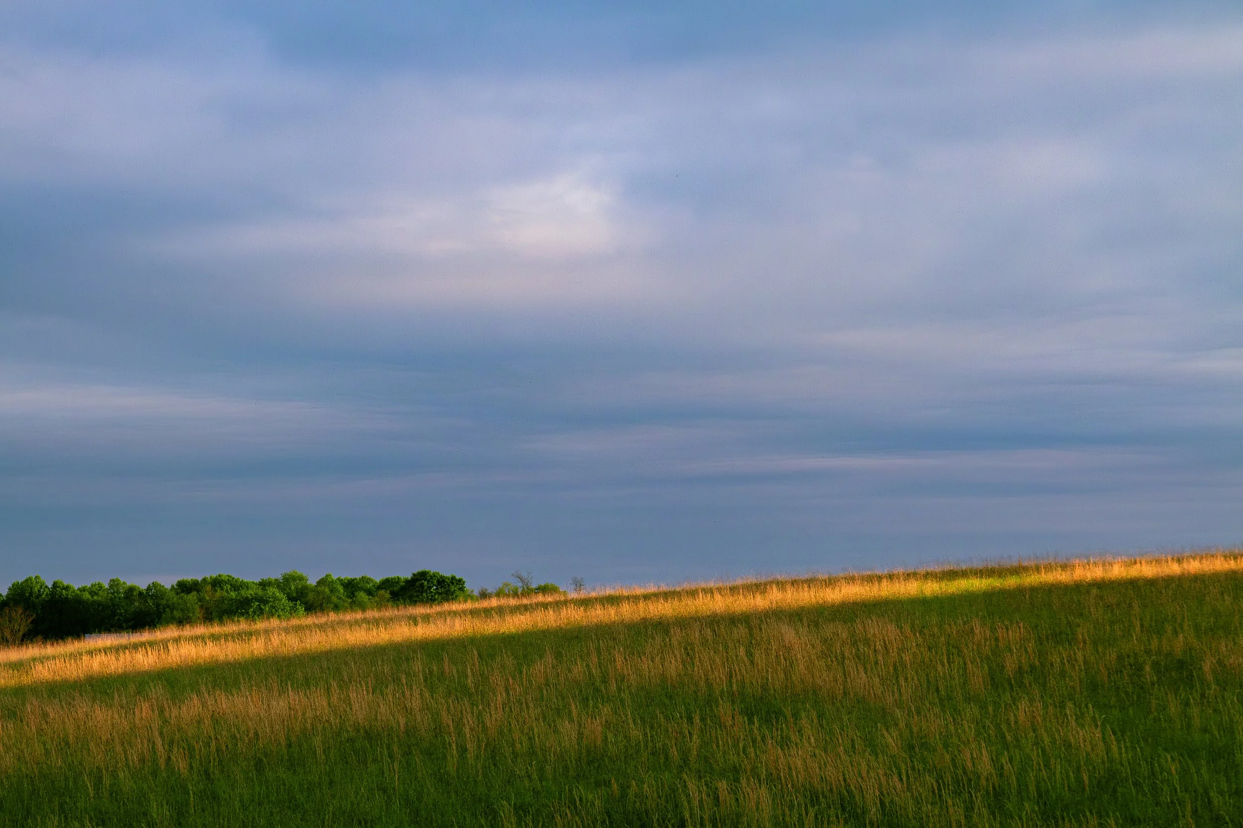 Field before the storm
