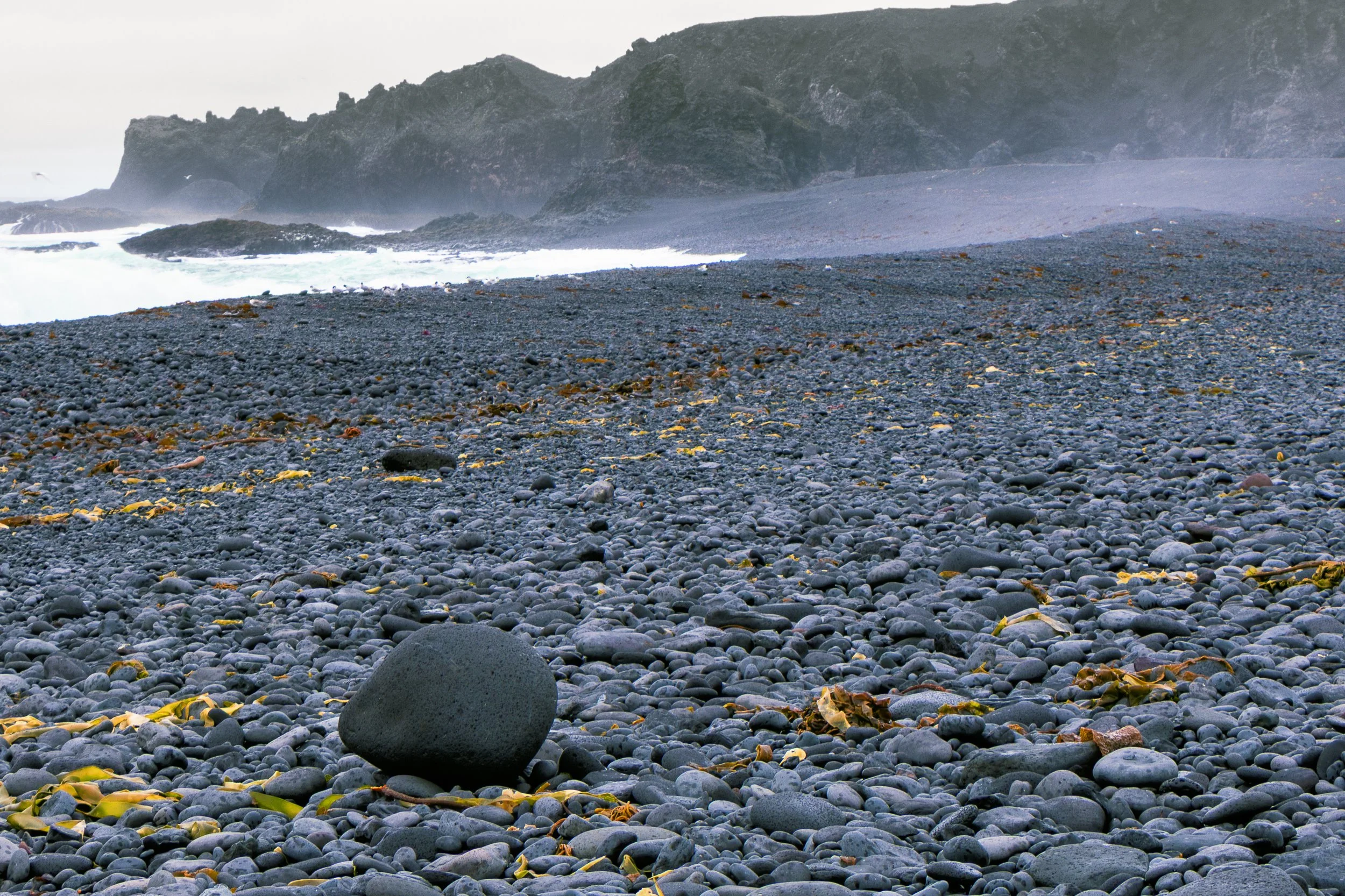 Boulder, wrack, and spray