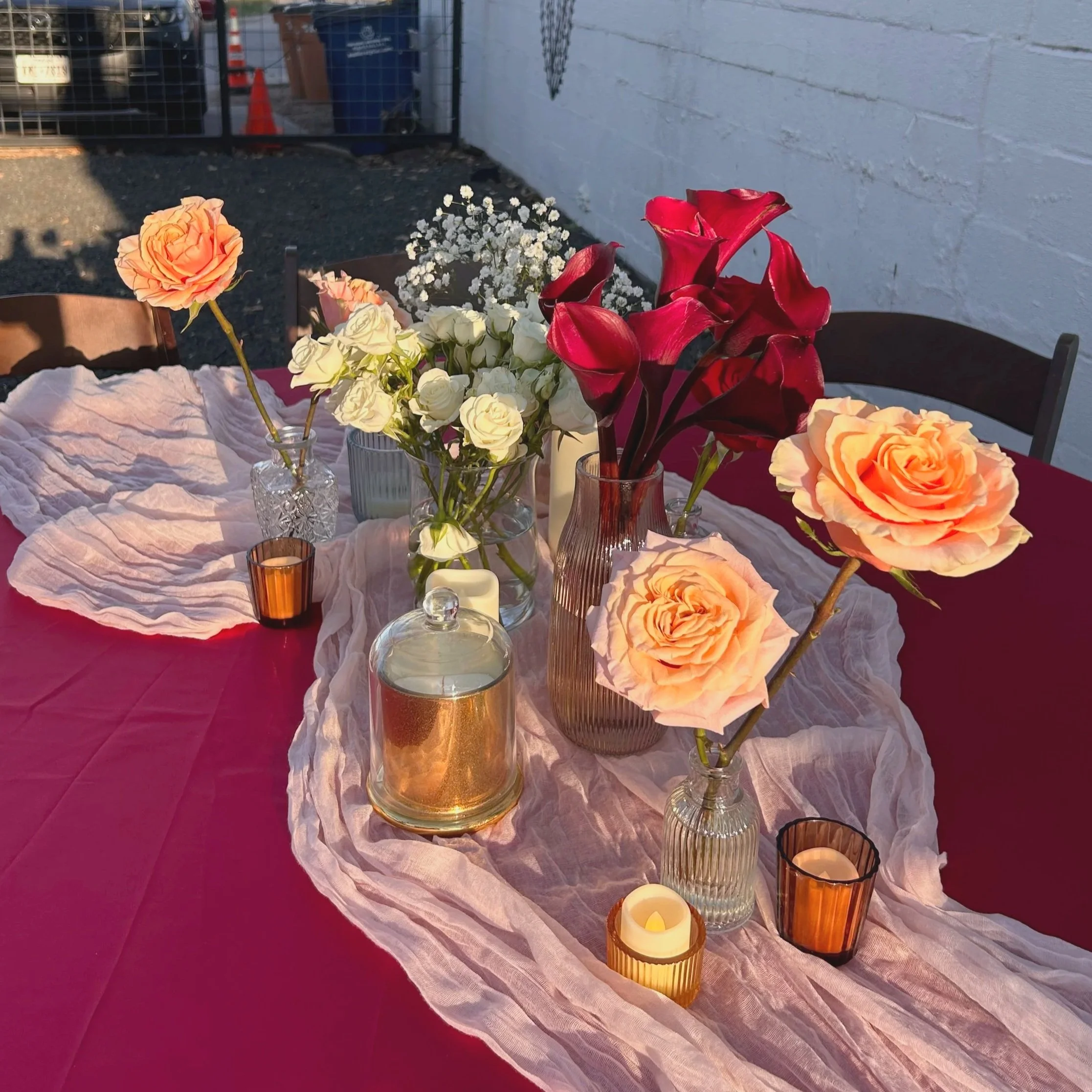 The Covenant Collection