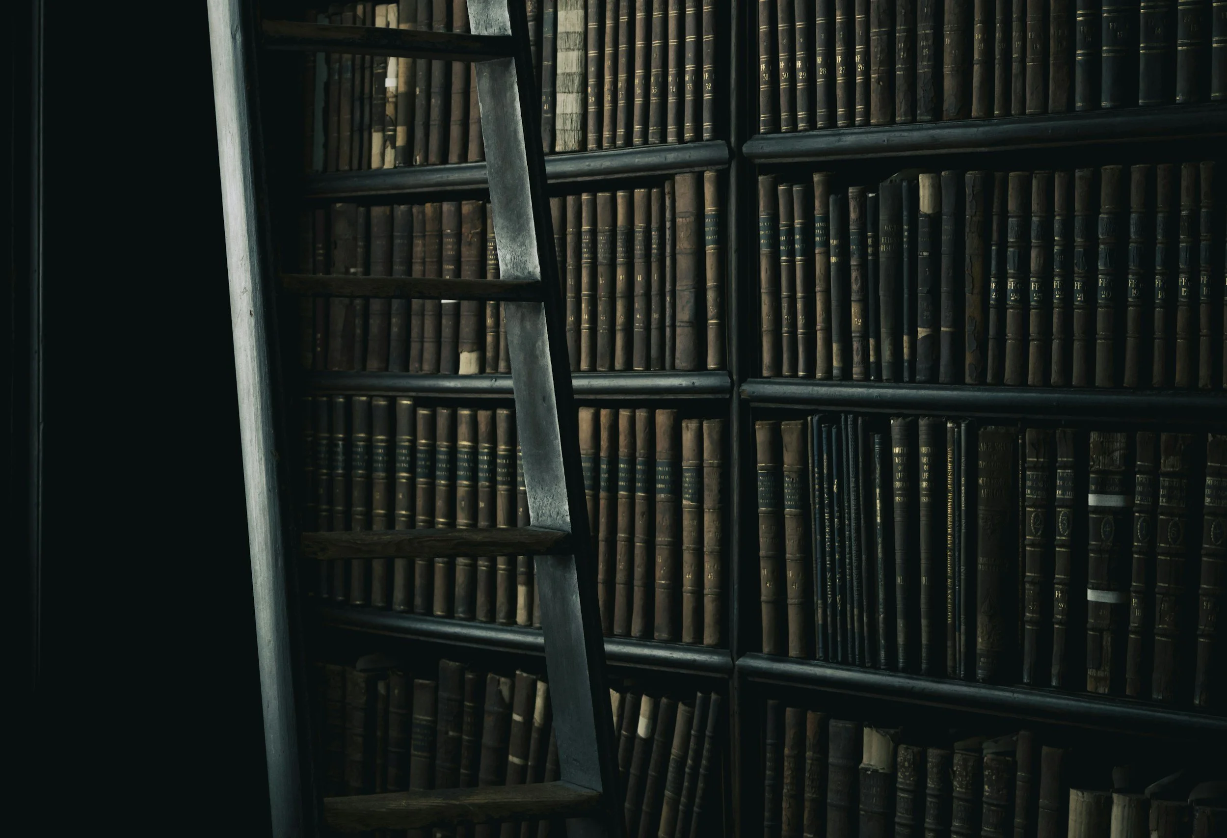 A dark-colored bookshelf filled with old books with a metal ladder leaning against it.