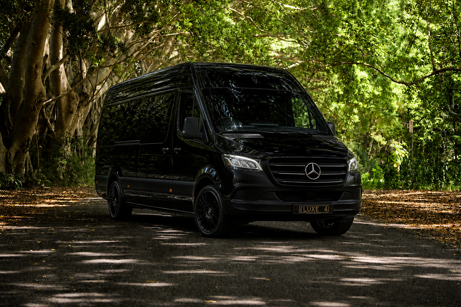 A black Mercedes-Benz van parked on a shaded dirt path surrounded by lush green trees