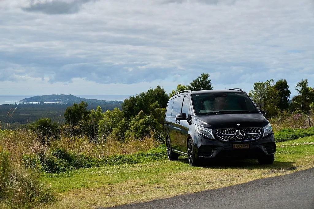 Black Mercedes-Benz van parked on grass beside a paved road, with green trees, shrubs, and a distant body of water under a partly cloudy sky.