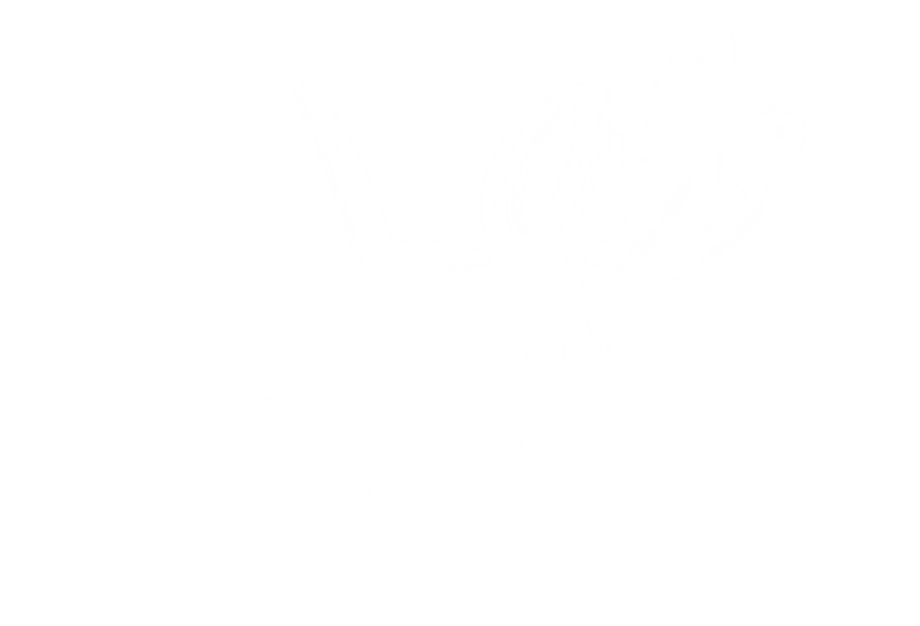 Loss in Layers