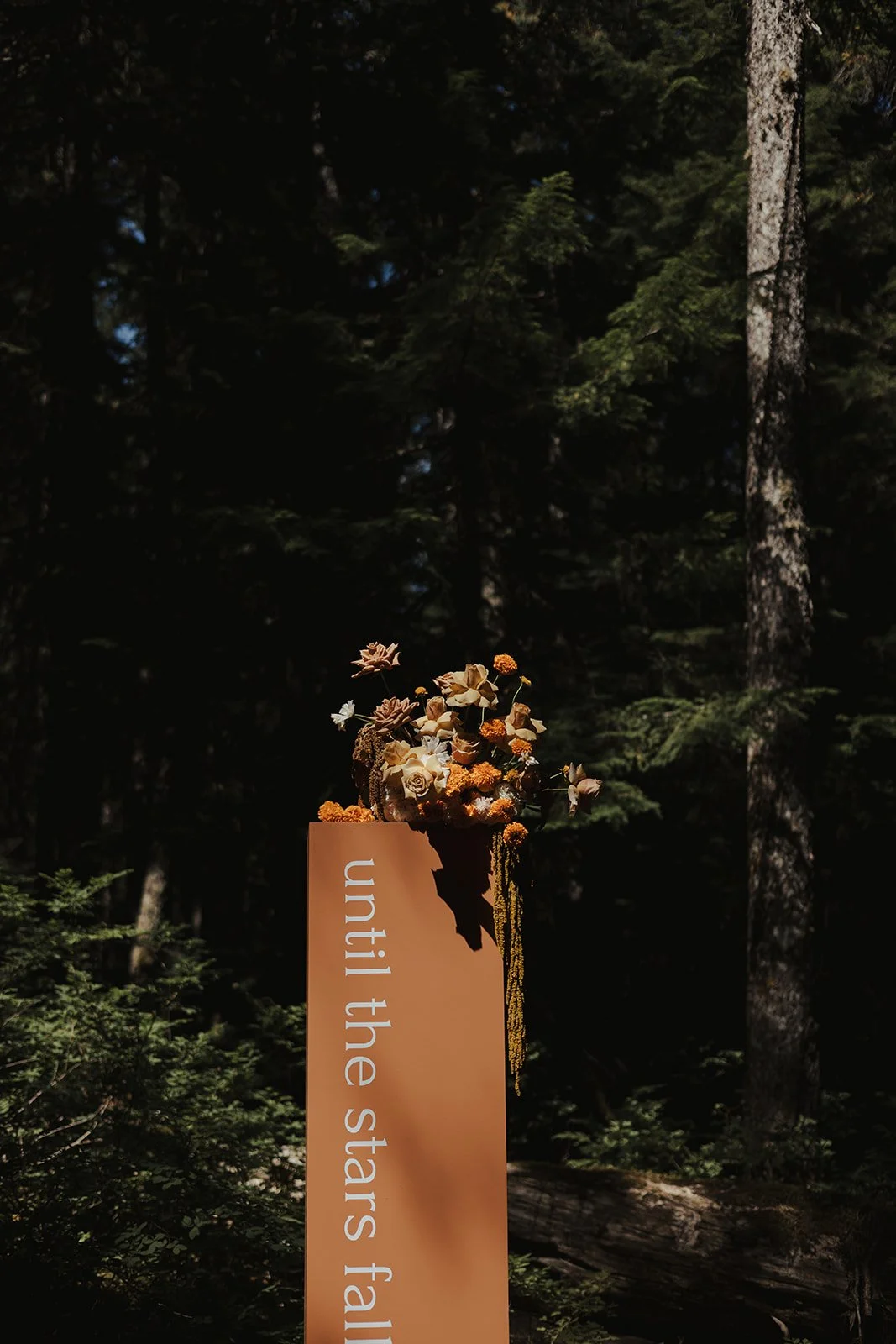 Sneak Peek_KirstyandTom_0013_Feature_Fleurescent.jpg