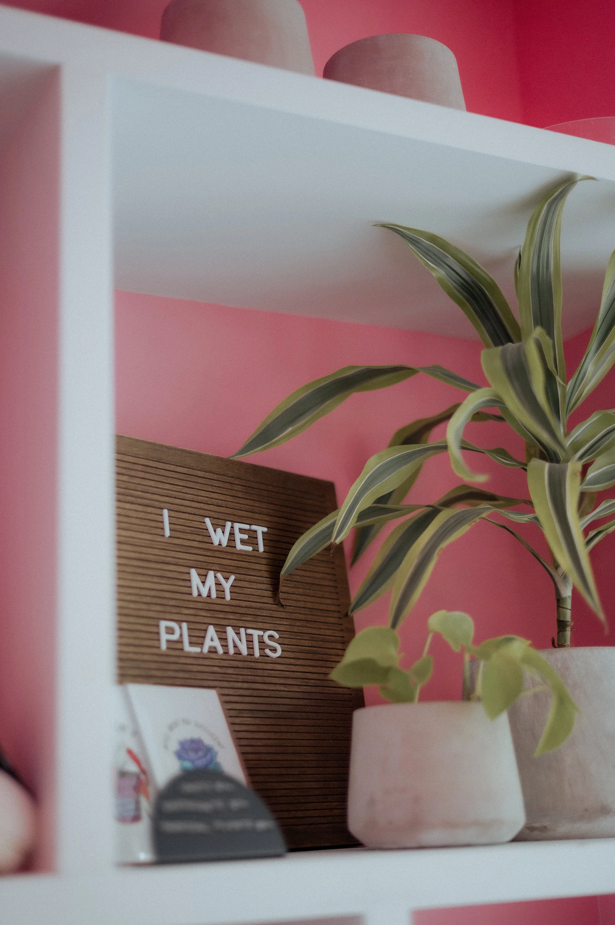 A shelf with two potted plants, a wooden sign that says 'I WET MY PLANTS', and some small decorative items against a pink wall.