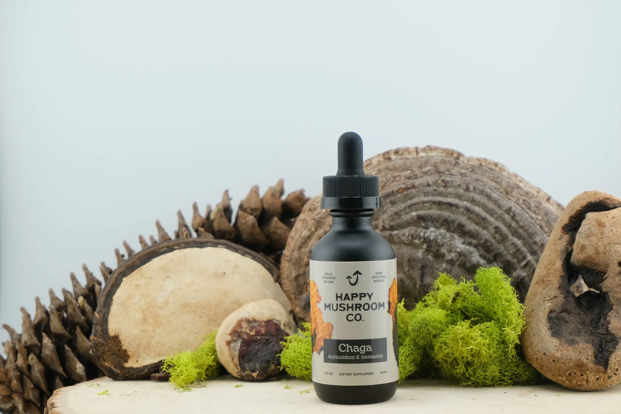 2026_Chaga_ProductHero_001.png