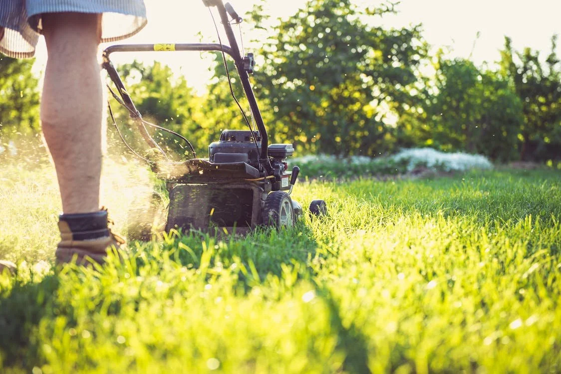 Person using a lawn mower to cut grass on a sunny day.