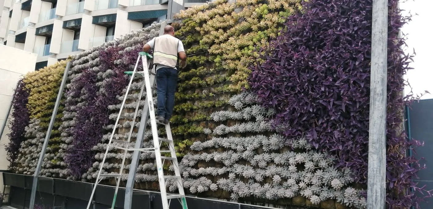 Mantenimiento de jardines verticales 