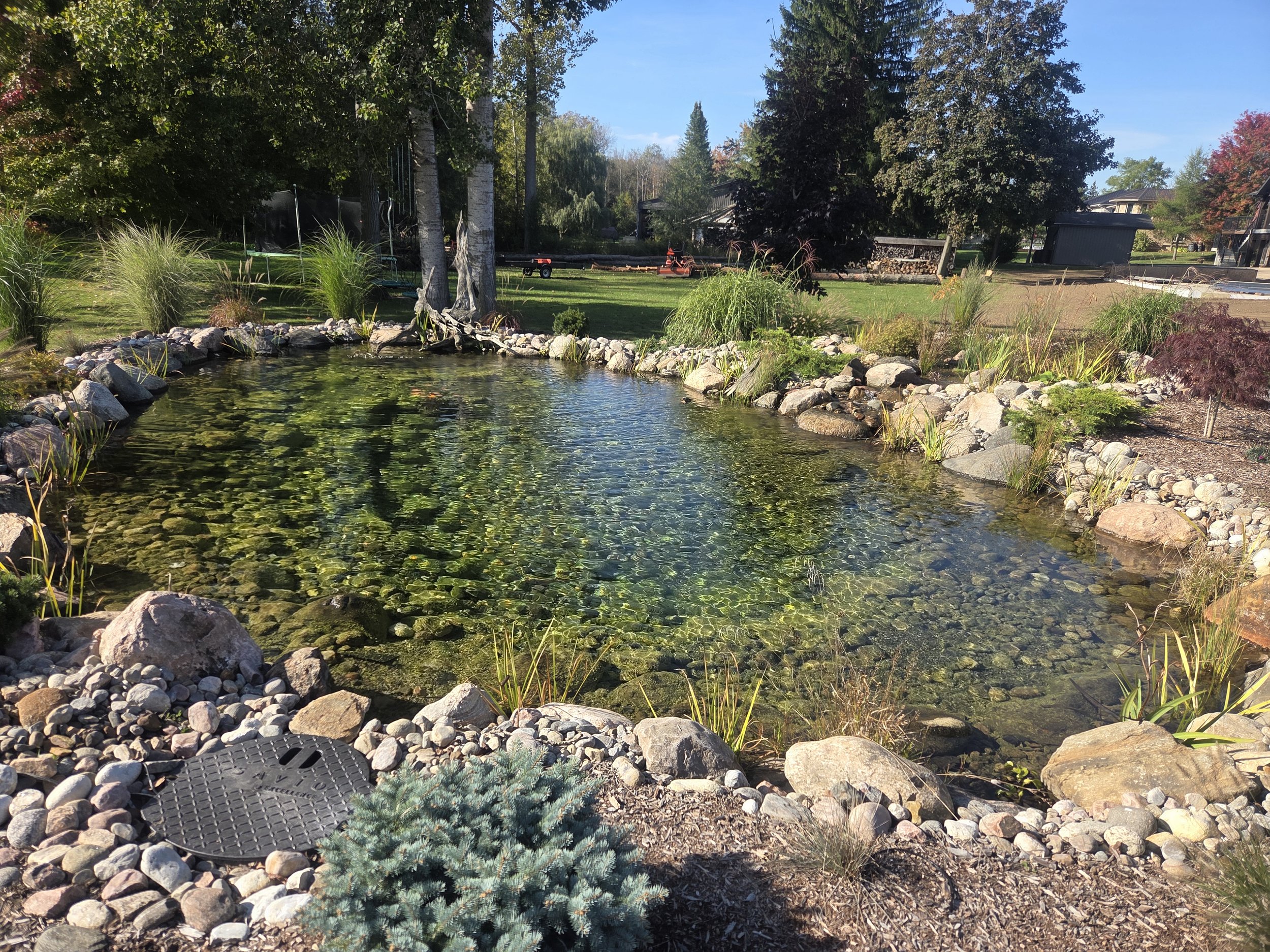 Estanque y biofiltro en jardín residencial