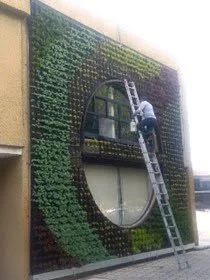 Diseño y construcción de jardines verticales 