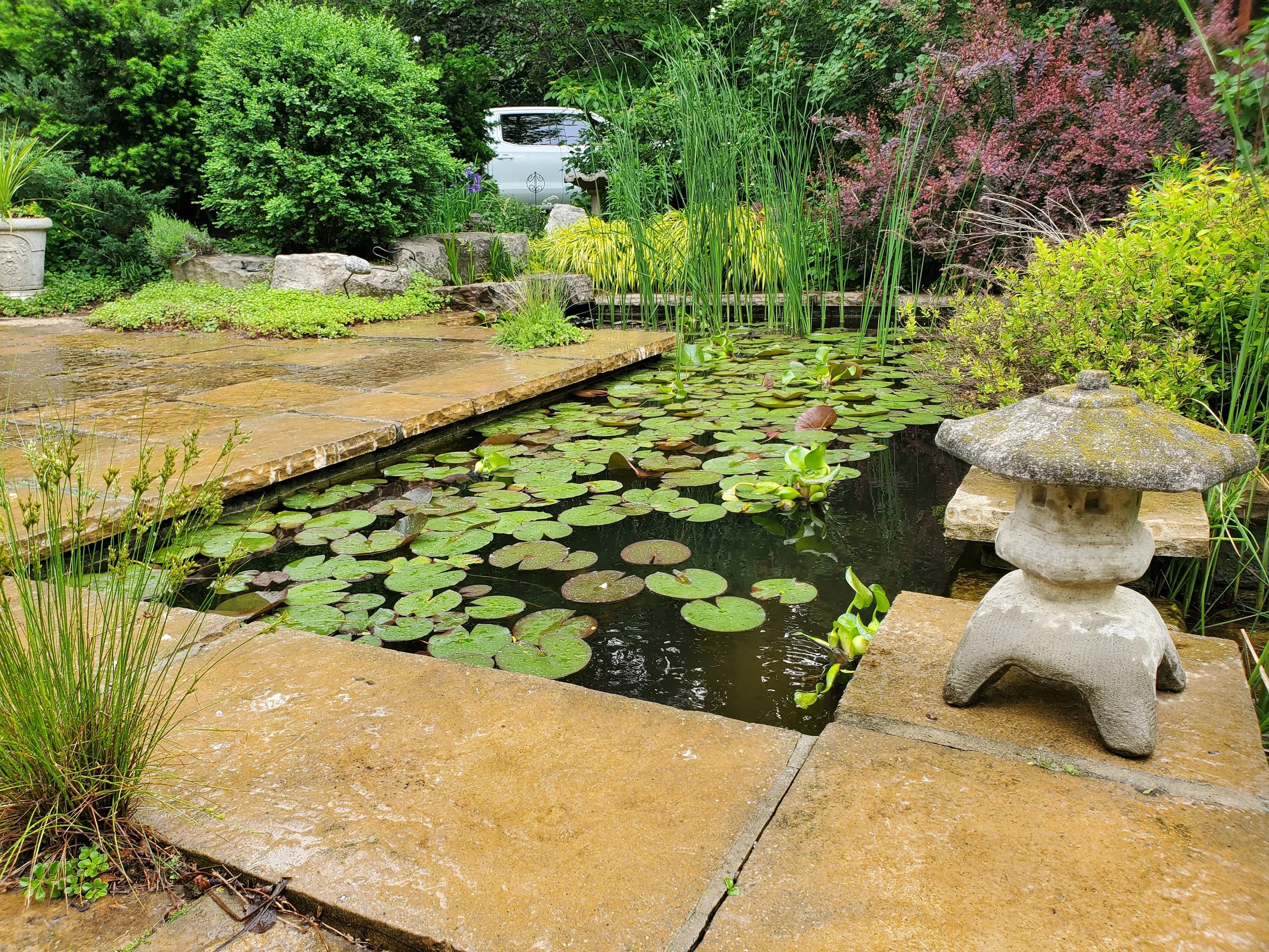 Jardín zen con estanque de nenúfares, piedras y un farol de piedra, rodeado de plantas