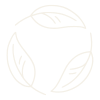 A digital icon of a globe made with thin white lines on a black background.