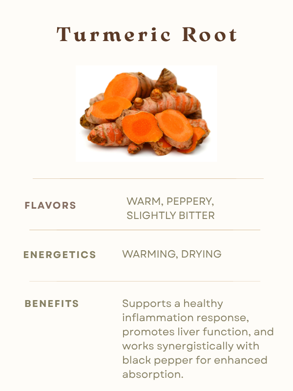 Turmeric Root Information Flavor Energetics Benefits