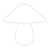 Simple line drawing of a mushroom cap and stem